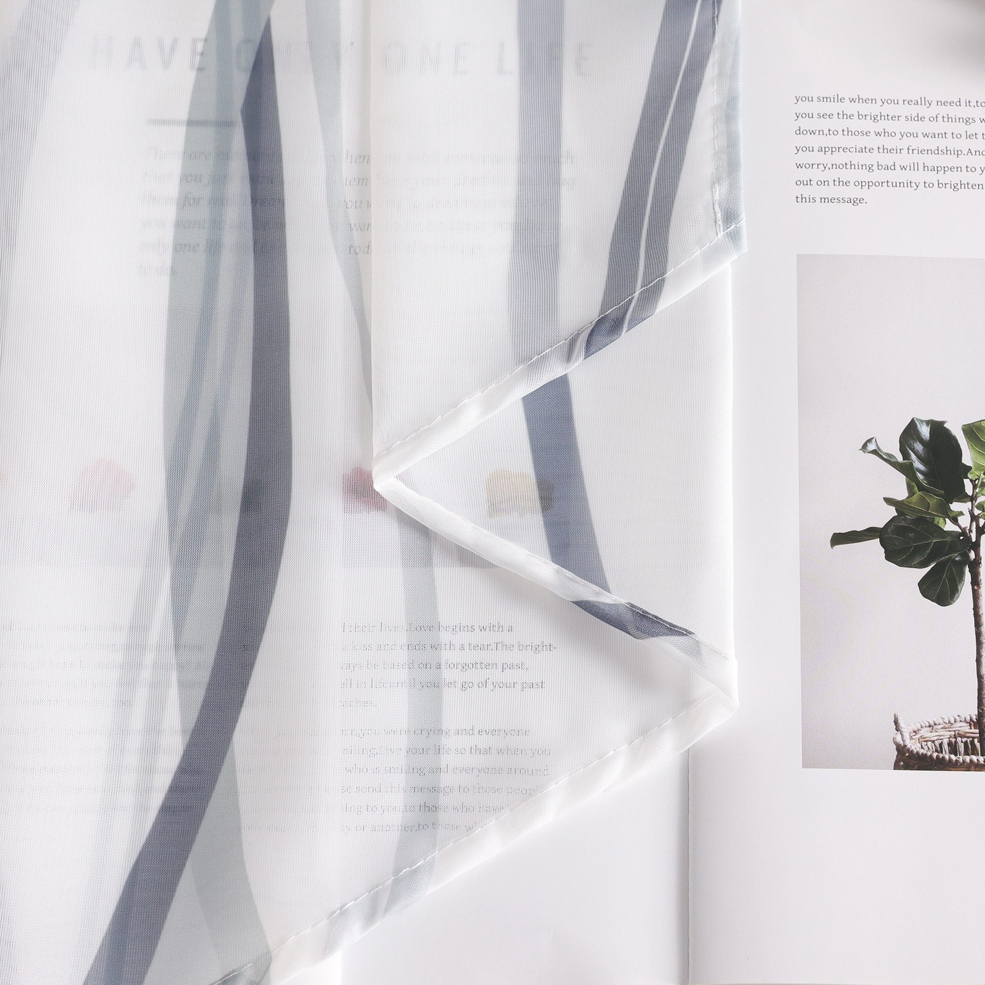 Joyswahl Scheibengardine (1 St), Stangendurchzug, transparent, Tunnelzug Vo günstig online kaufen