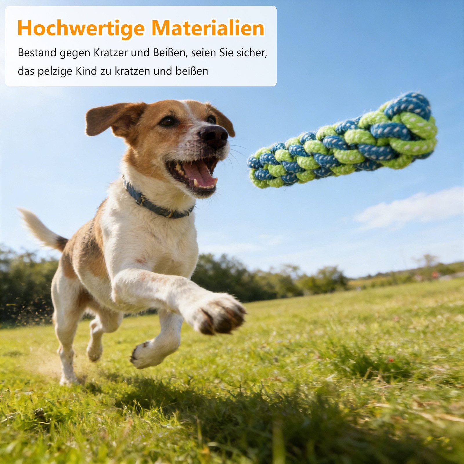 BlingBin Kauspielzeug 10er-Set Bunte Hundespielzeuge aus Baumwolle zum Kauen und Toben, (10er Set 10-tlg), Hundespielzeug für kleine Hunde – vielseitiges Welpenspielzeug