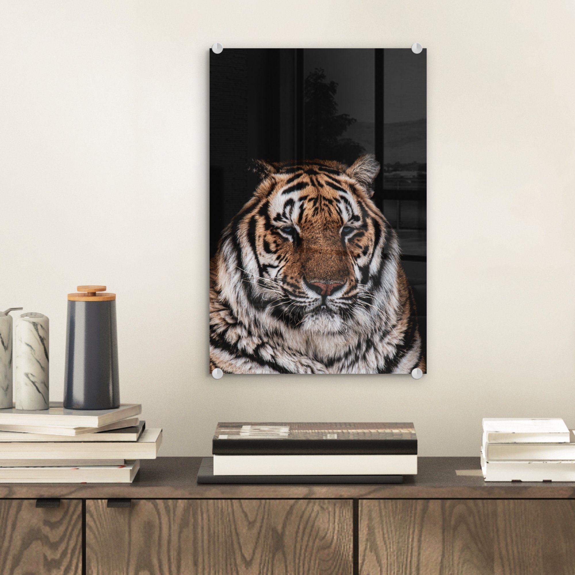 Glas MuchoWow Schwarz, auf bunt Faulenzer Acrylglasbild St), - - Wandbild Glasbilder - Glas - Bilder Foto Wanddekoration auf Tiger - (1
