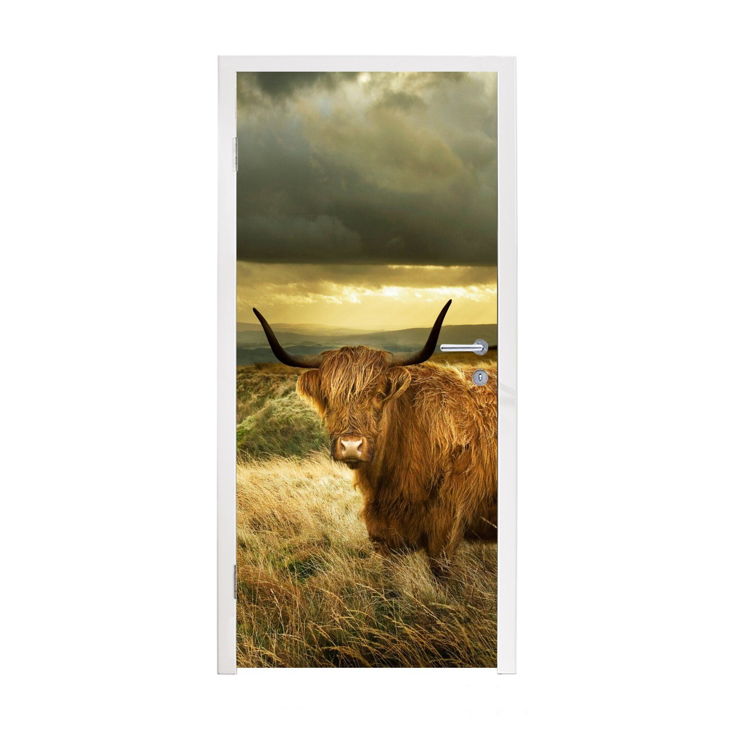MuchoWow Türtapete Schottische Highlander - Licht - Natur, Matt, bedruckt, (1 St), Fototapete für Tür, Türaufkleber, 75x205 cm
