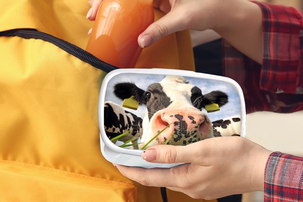 MuchoWow Lunchbox (2-tlg), weiß und Kuh Kinder Erwachsene, - Tiere, - und Mädchen Gras Jungs Bauernhof für - Kunststoff, Brotdose, für Brotbox
