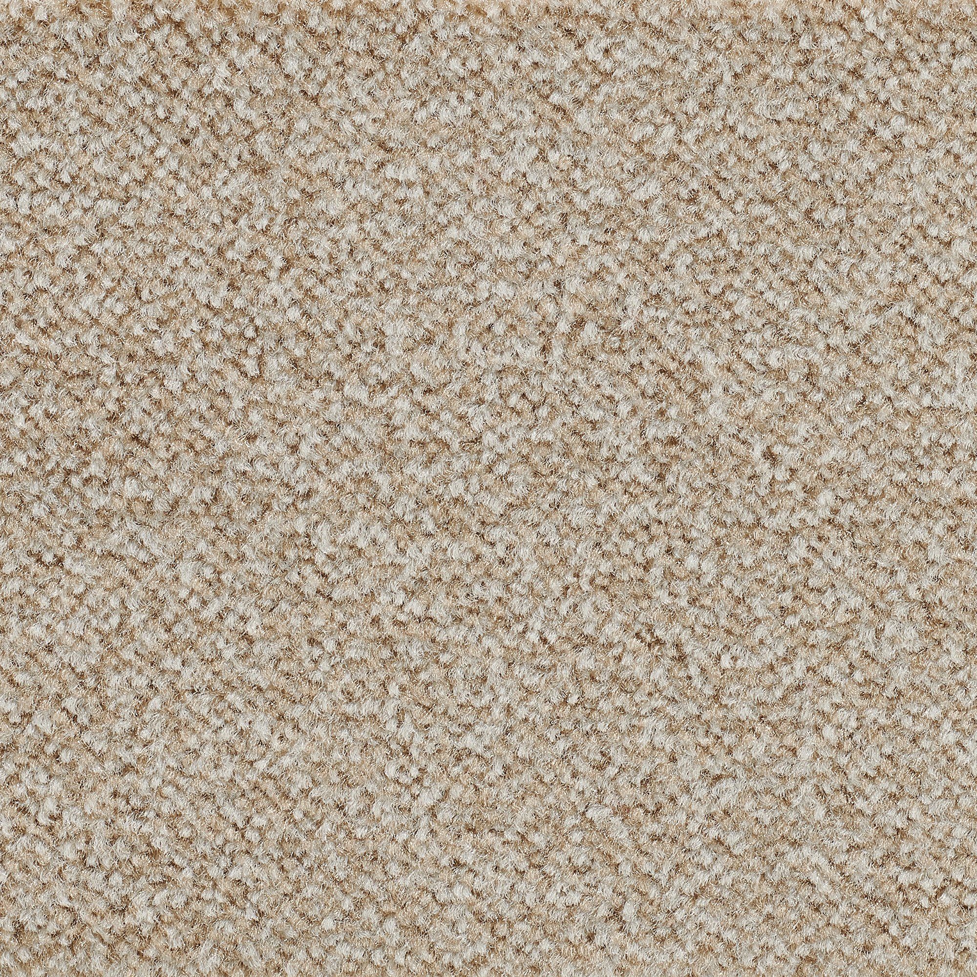 Teppichboden Veloursteppich Juno, Bodenmeister, rechteckig, Höhe: 8,5 mm, Wohnzimmer, Schlafzimmer, Kinderzimmer, Breite 400/500 cm beige