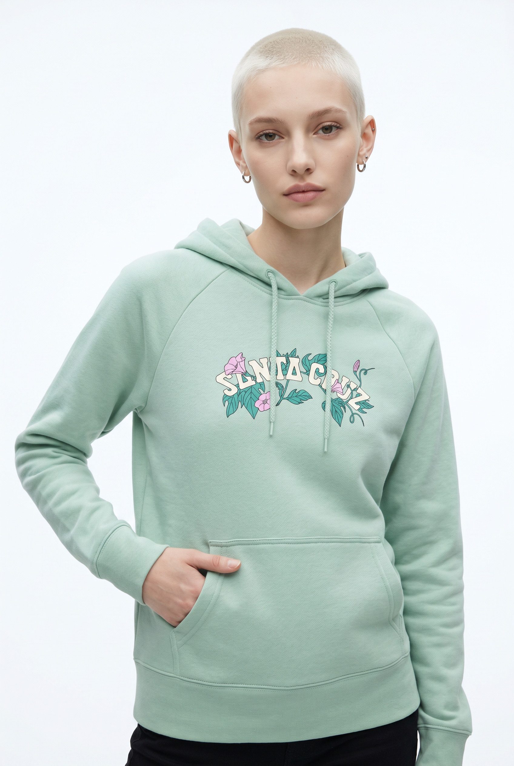 Santa Cruz Kapuzensweatshirt CLUSTER STRIP HOOD