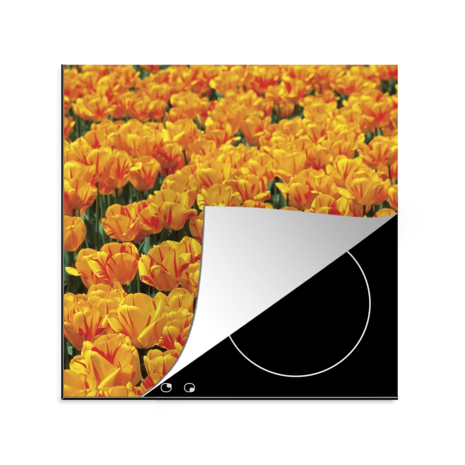 Orangefarbenes 78x78 Tulpenfeld, cm, tlg), Herdblende-/Abdeckplatte (1 küche Ceranfeldabdeckung, MuchoWow für Arbeitsplatte Vinyl,