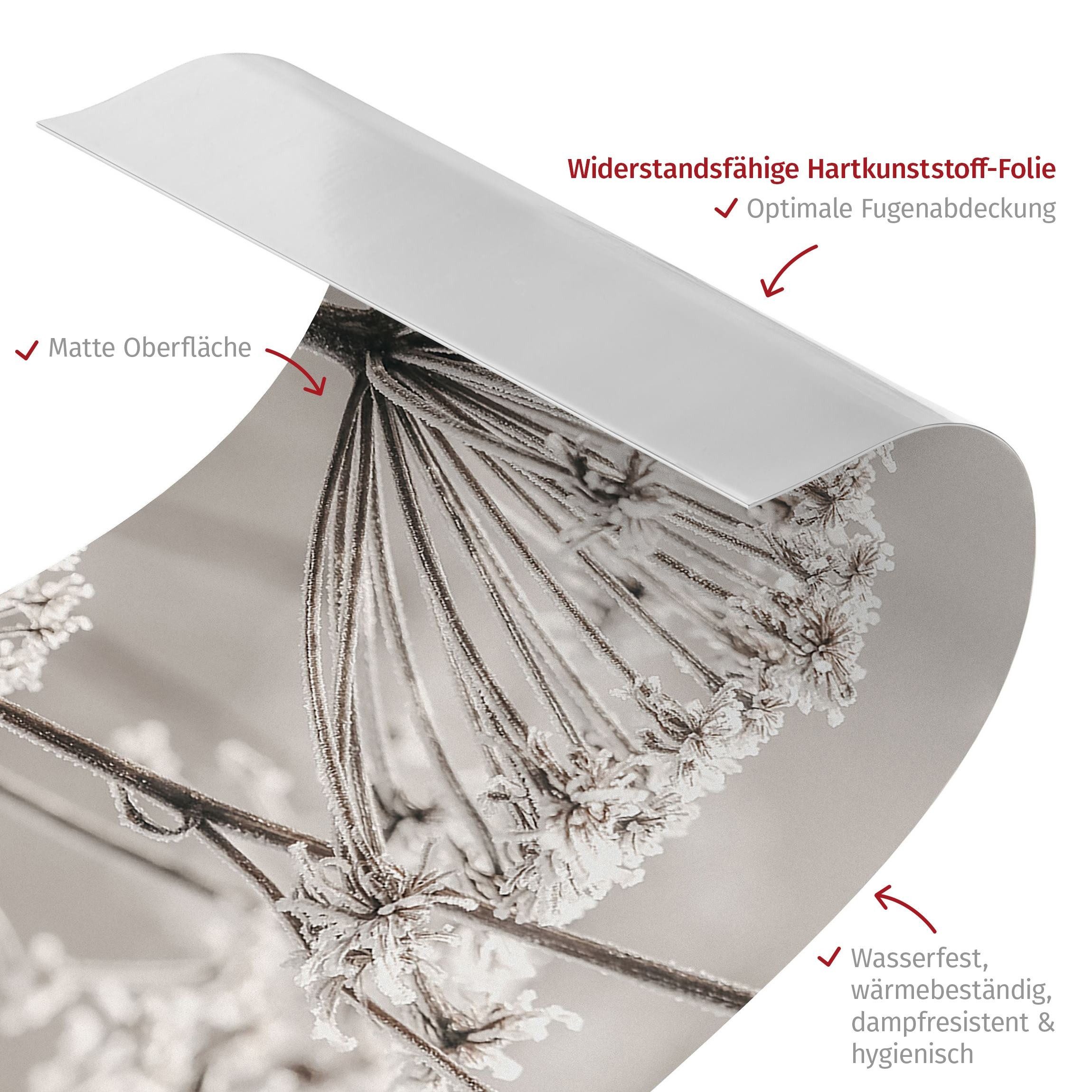 Bilderdepot24 Badrückwand beige fugenlose Wandverkleidung Bad Landhaus, (Hartfolie matt » Selbstklebend SMART 0,35 mm), wasserfestes Wandpaneel Doldenblüten Frost