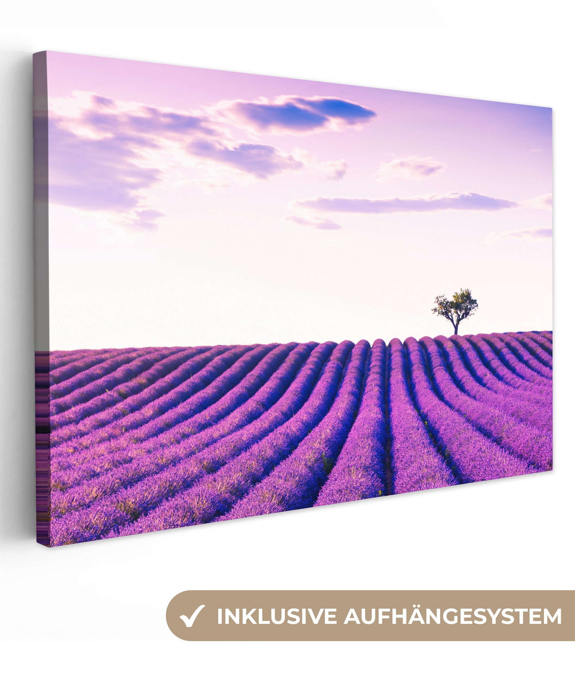 OneMillionCanvasses® Leinwandbild Lavendel - Bäume - günstig online kaufen
