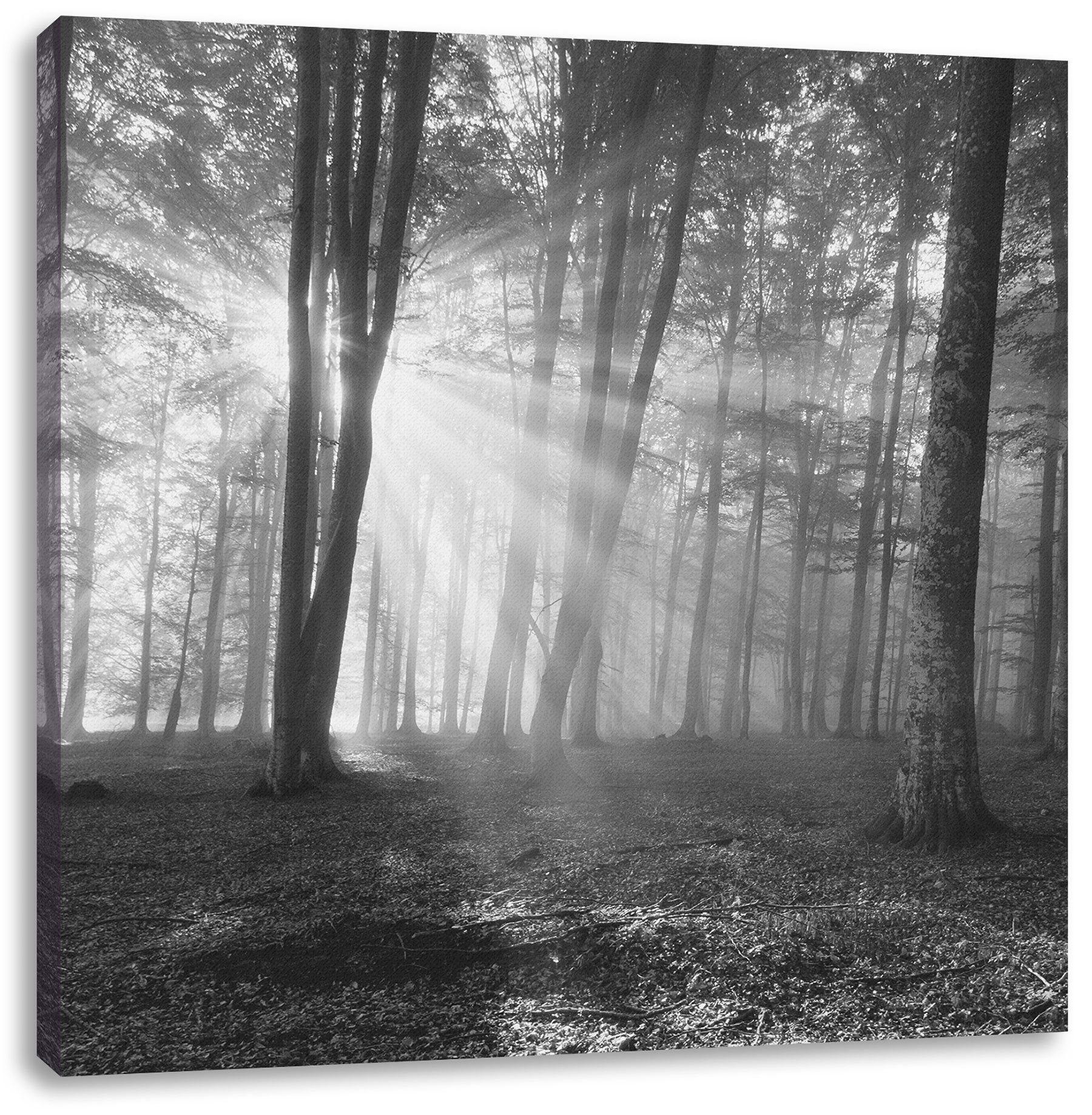 Pixxprint Leinwandbild Wald mit Sonnenstrahlen, inkl. Sonnenstrahlen bespannt, mit fertig Leinwandbild Wald Zackenaufhänger (1 St)