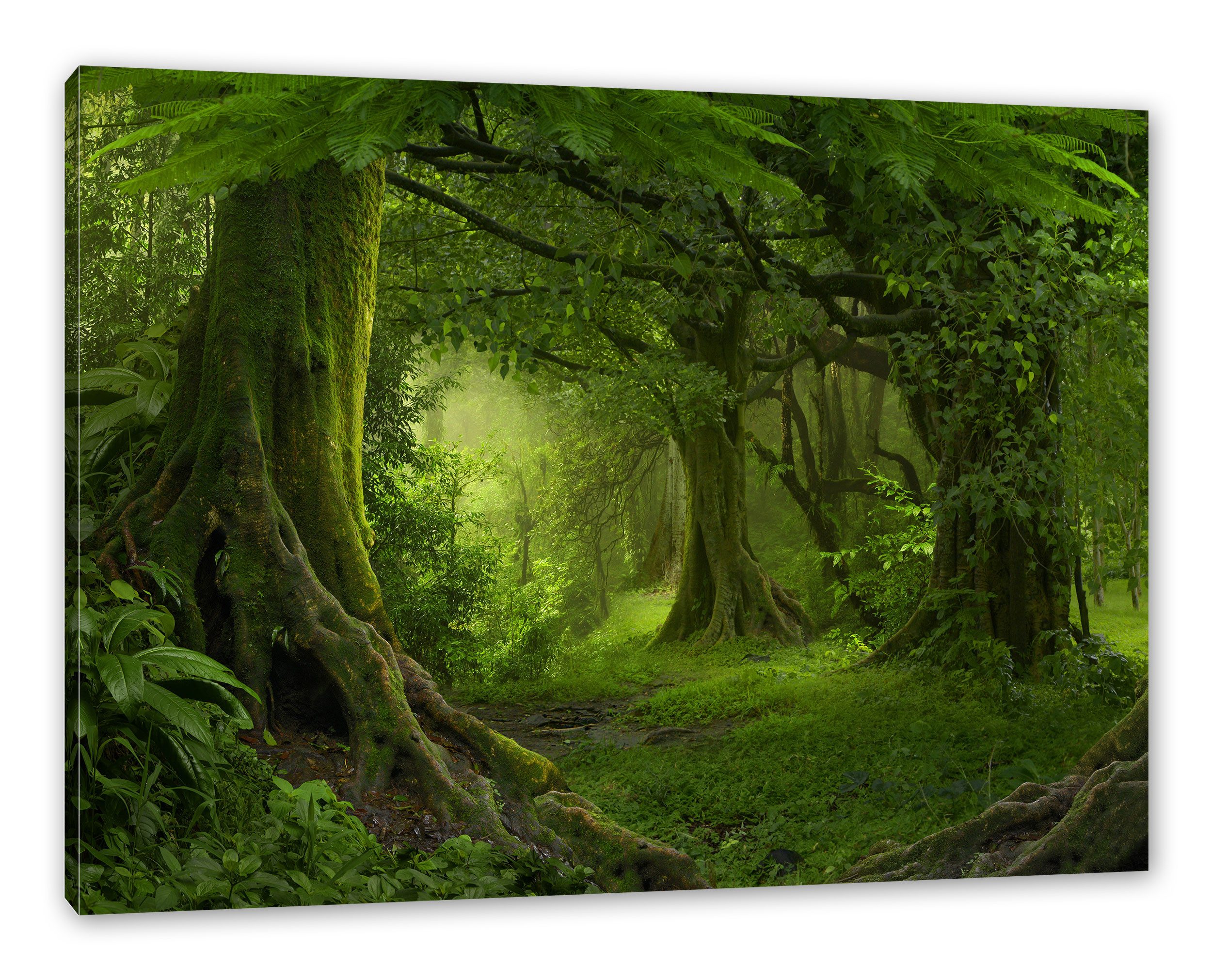 Pixxprint Leinwandbild Dschungel im Regenwald, Dschungel im Regenwald (1 St), Leinwandbild fertig bespannt, inkl. Zackenaufhänger
