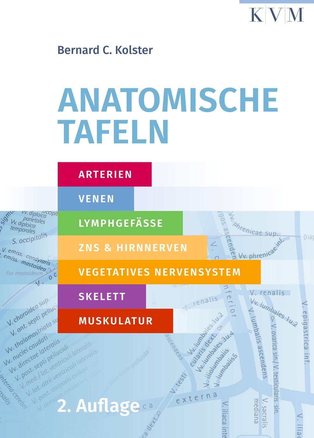 Anatomische Tafeln Arterien, Venen, Lymphgefäße, zentrales Nervensyste / Bernard C. Kolster, Arterien, Venen, Lymphgefäße, zentrales Nervensystem, Hirnnerven, vegetatives Nervensystem, Skelett und Muskulatur