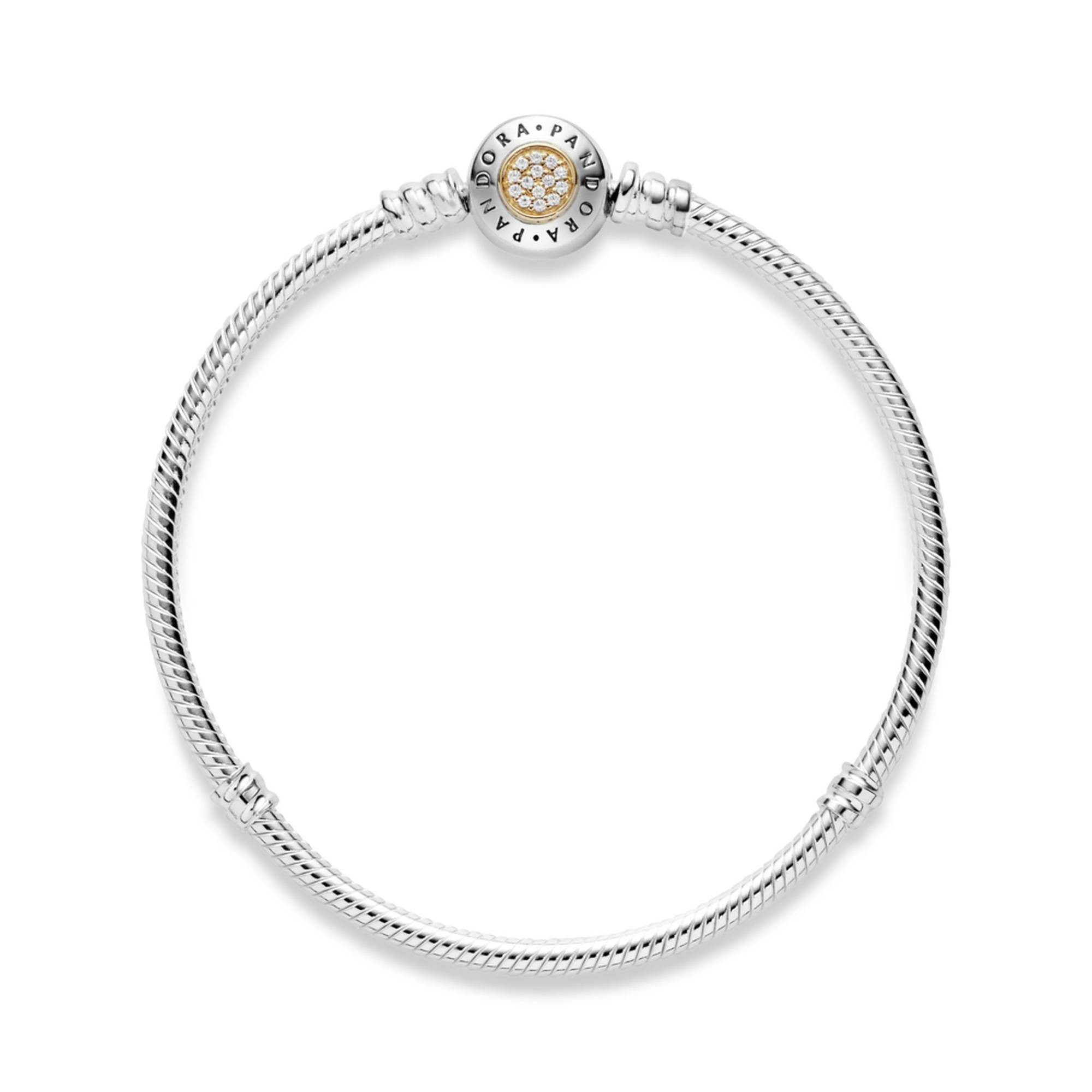 Pandora Charm-Armband Moments