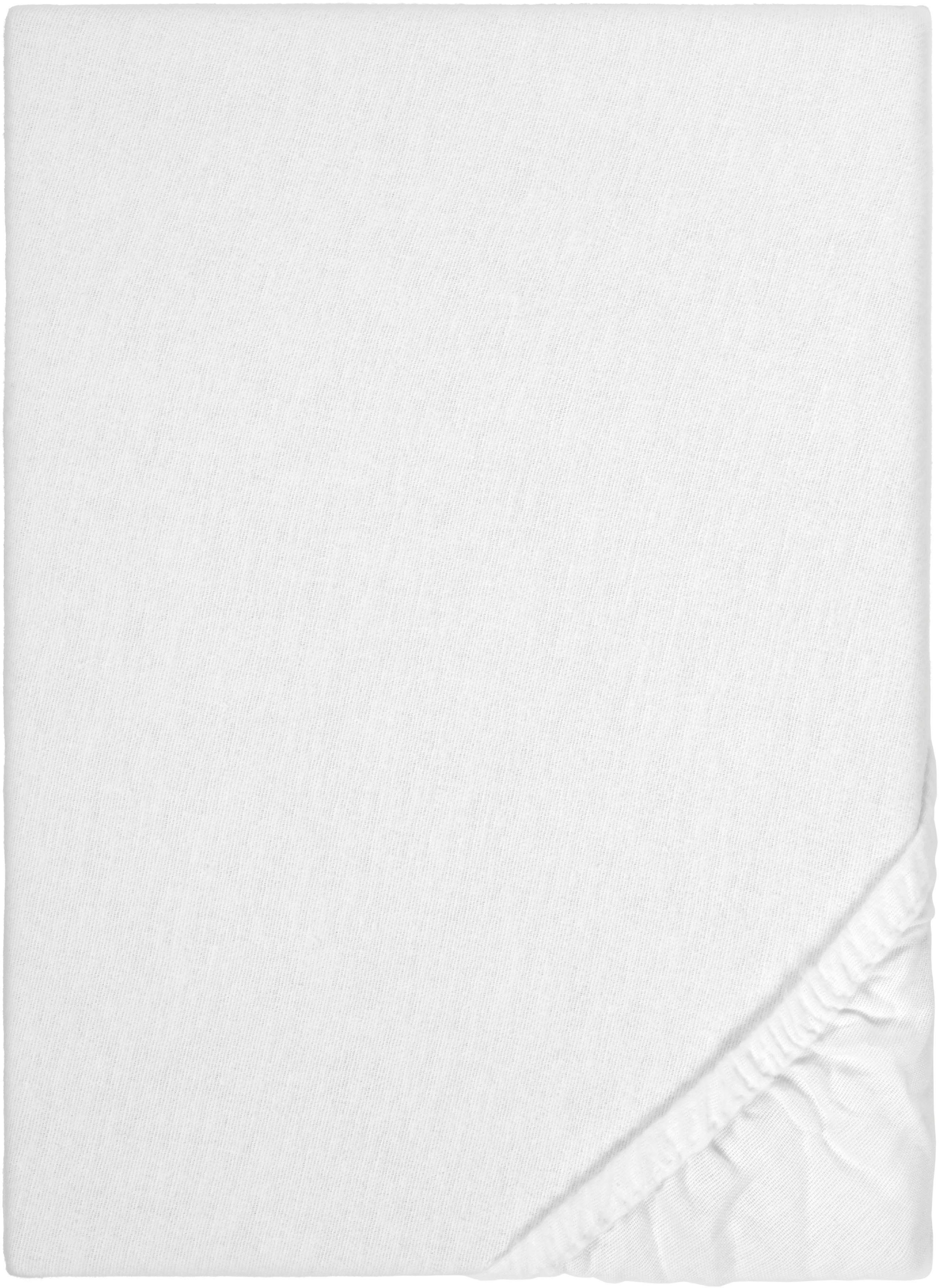 Biberna Spannbettlaken Biber in Gr. 90x200, günstig online kaufen
