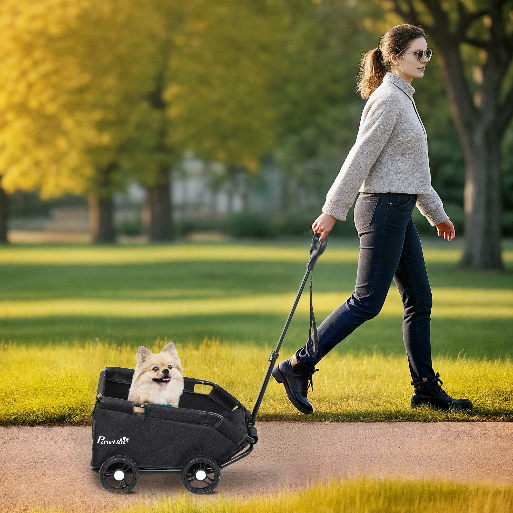 PawHut Hundebuggy klappbarer Hundewagen für Zwergenhunde bis zu 4 kg, (Katzenbuggy, 1-tlg), mit Griffstange, waschbarem Kissen, Sicherheitsleinen, Räder, Schwarz