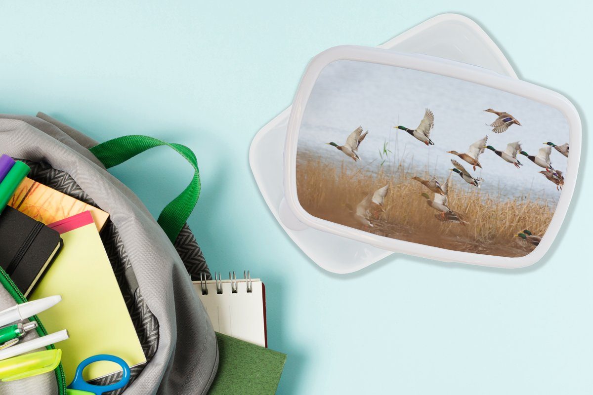 MuchoWow Lunchbox Ente - Vogel Kunststoff, Schilf weiß - Jungs und - für Enten, Erwachsene, (2-tlg), Kinder und Mädchen Brotdose, Wasser - für Brotbox