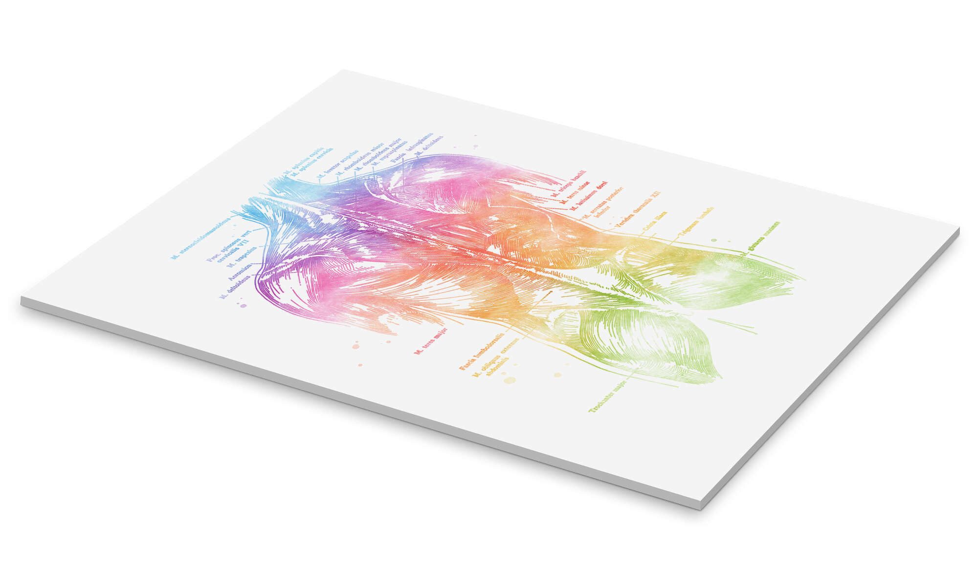 Posterlounge Wandbild Regenbogen-Rücken, beschriftet, Mod Pop Deco, erhältlich als Poster, Leinwandbild, Wandsticker oder Acrylglasbild