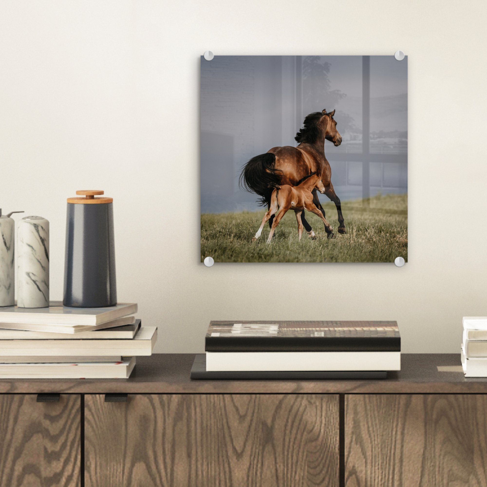 - Foto St), Glas Pferde auf (1 - Tiere Glas - Wandbild Fohlen, Glasbilder - Acrylglasbild Wanddekoration MuchoWow auf - Bilder