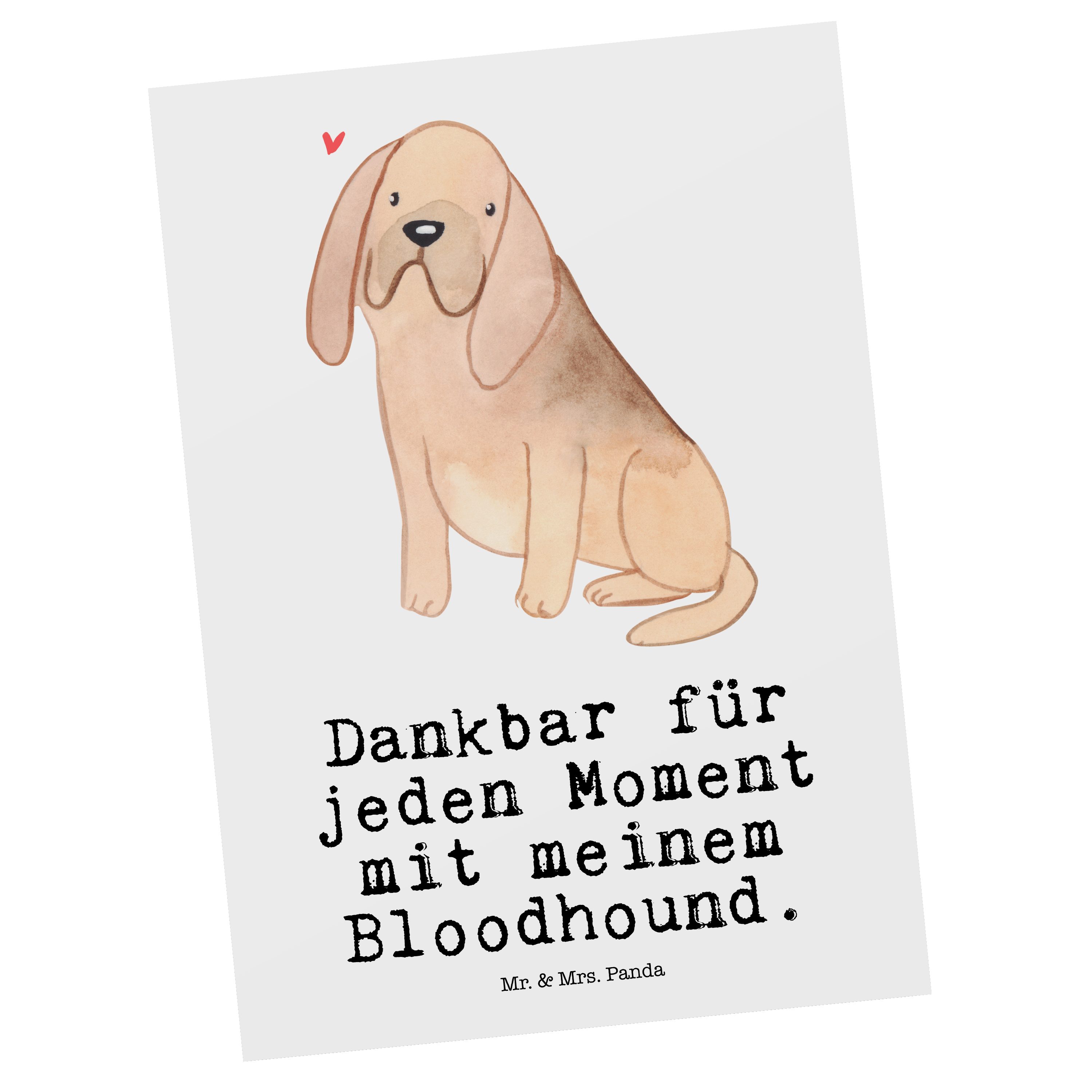 Weiß Mrs. Mr. Einladungskarte, - Bluthund, - Panda Postkarte Bloodhound Geschenk, Moment & Tierf