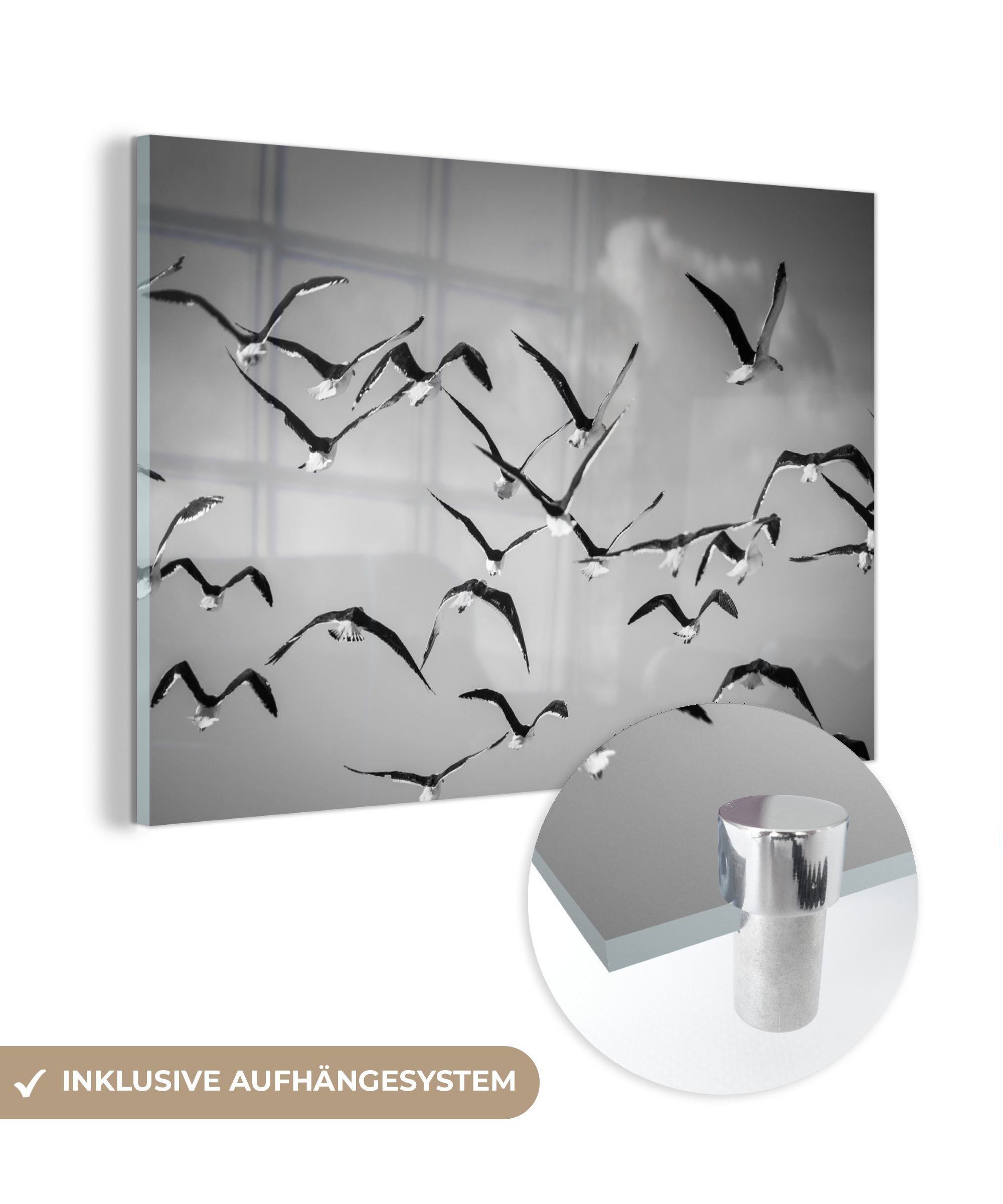 MuchoWow Acrylglasbild Schwarz-Weiß-Fotografie einer Gruppe von fliegenden Seemöwen, (1 St), Acrylglasbilder Wohnzimmer & Schlafzimmer