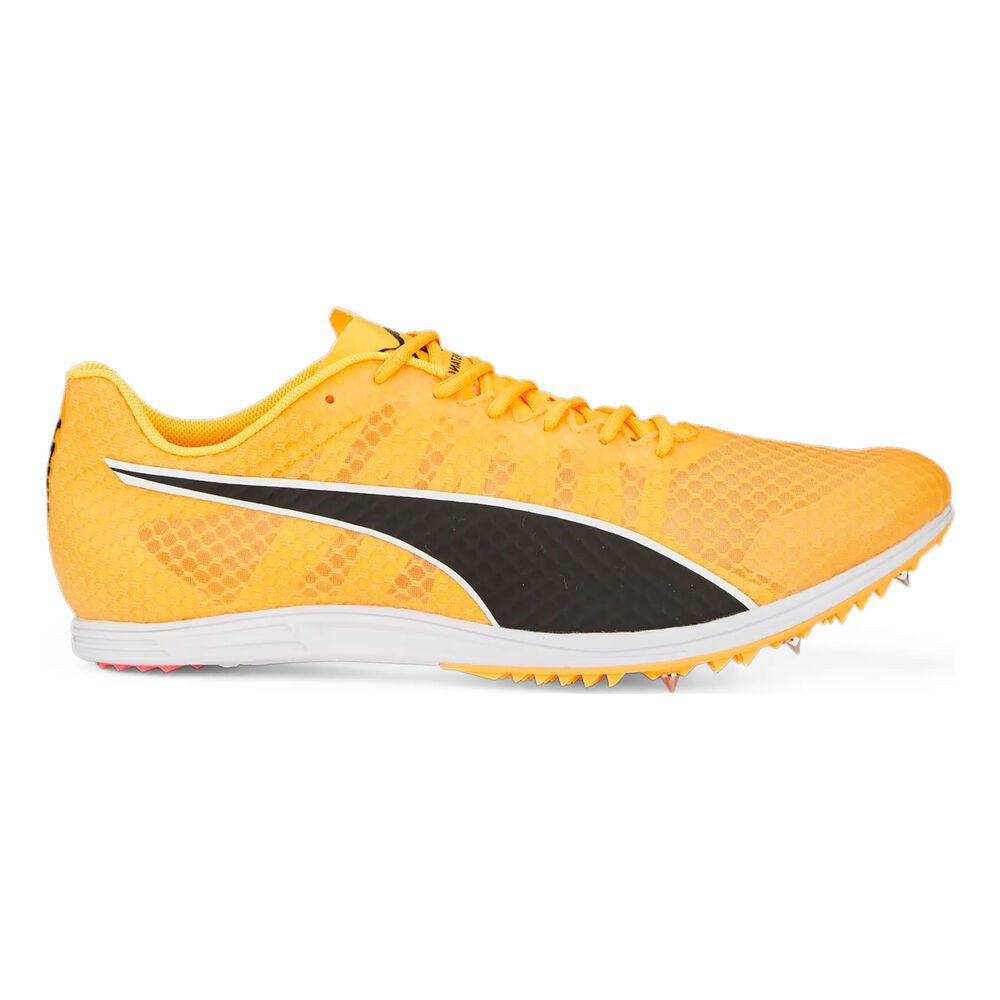Evospeed Distance 11 - Spikeschuh Laufschuh
