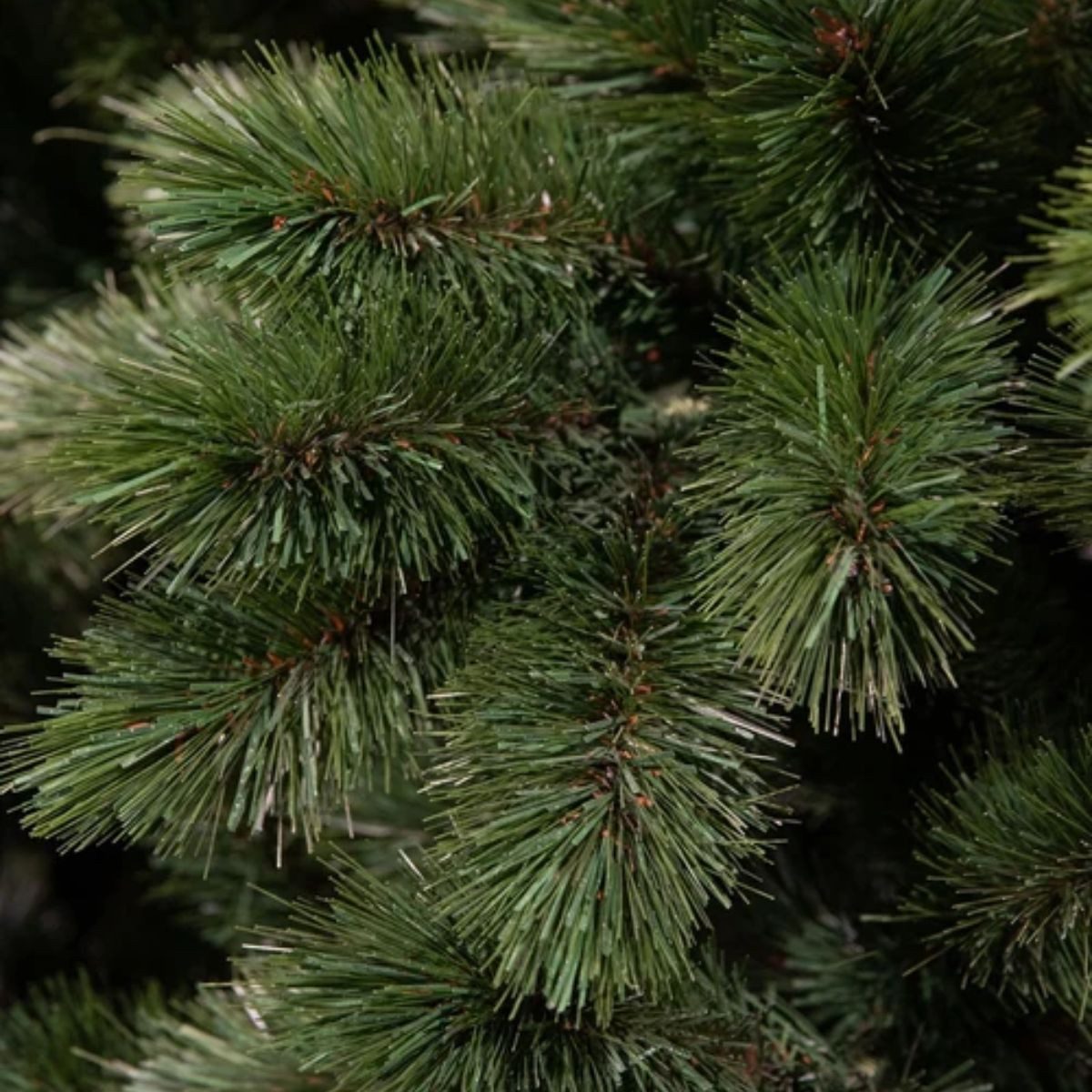 Triumph Tree Künstlicher Weihnachtsbaum Triumph Tree Camden Weihnachtsbaum slim gruen TIPS 195 - h120xd69cm