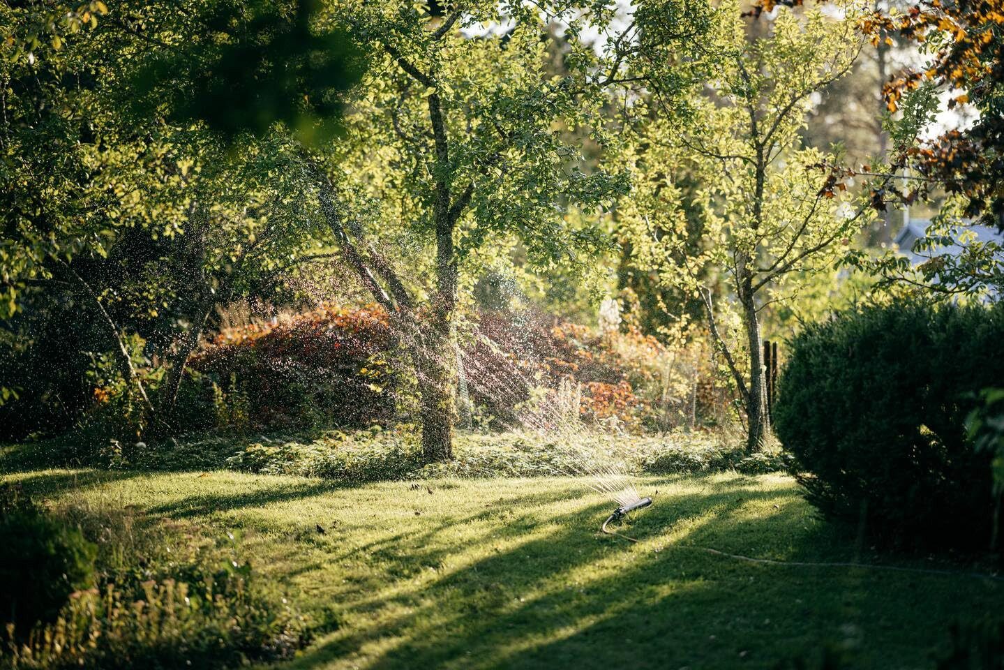 Fiskars Regner FISKARS 1070831 Sprinkler, (Oszillierender Regner, Oszillierender Regner mit Filter und Werkzeug), Oszillierender Regner, Filter, Düsenreinigung, 300-500 m² Rasenflächen