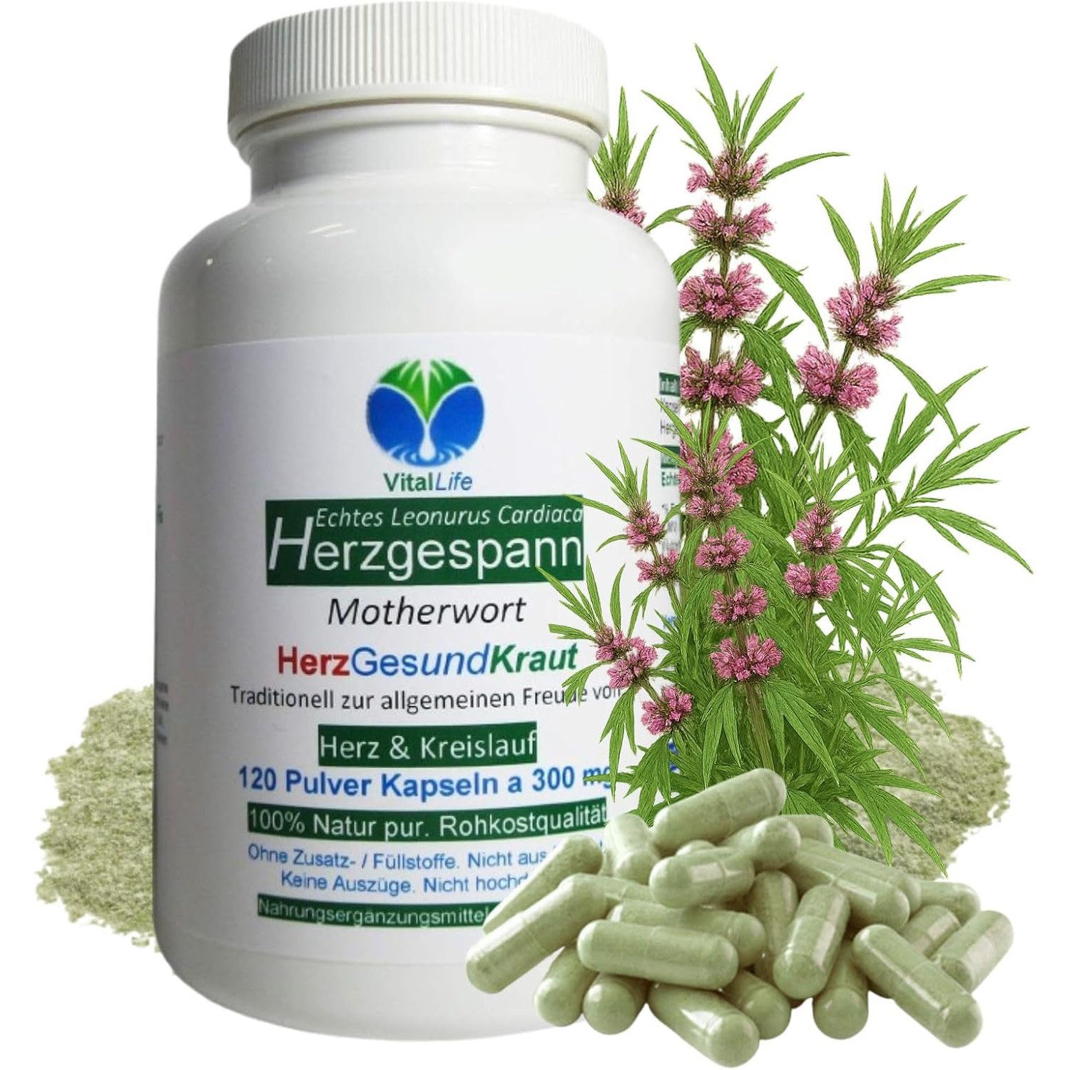 VitalLife Echtes Herzgespannkraut (Motherwort) nach Hildegard von Bingen Kapseln, 1 er Dose à 120 St., 36 g, Art. 26865-120