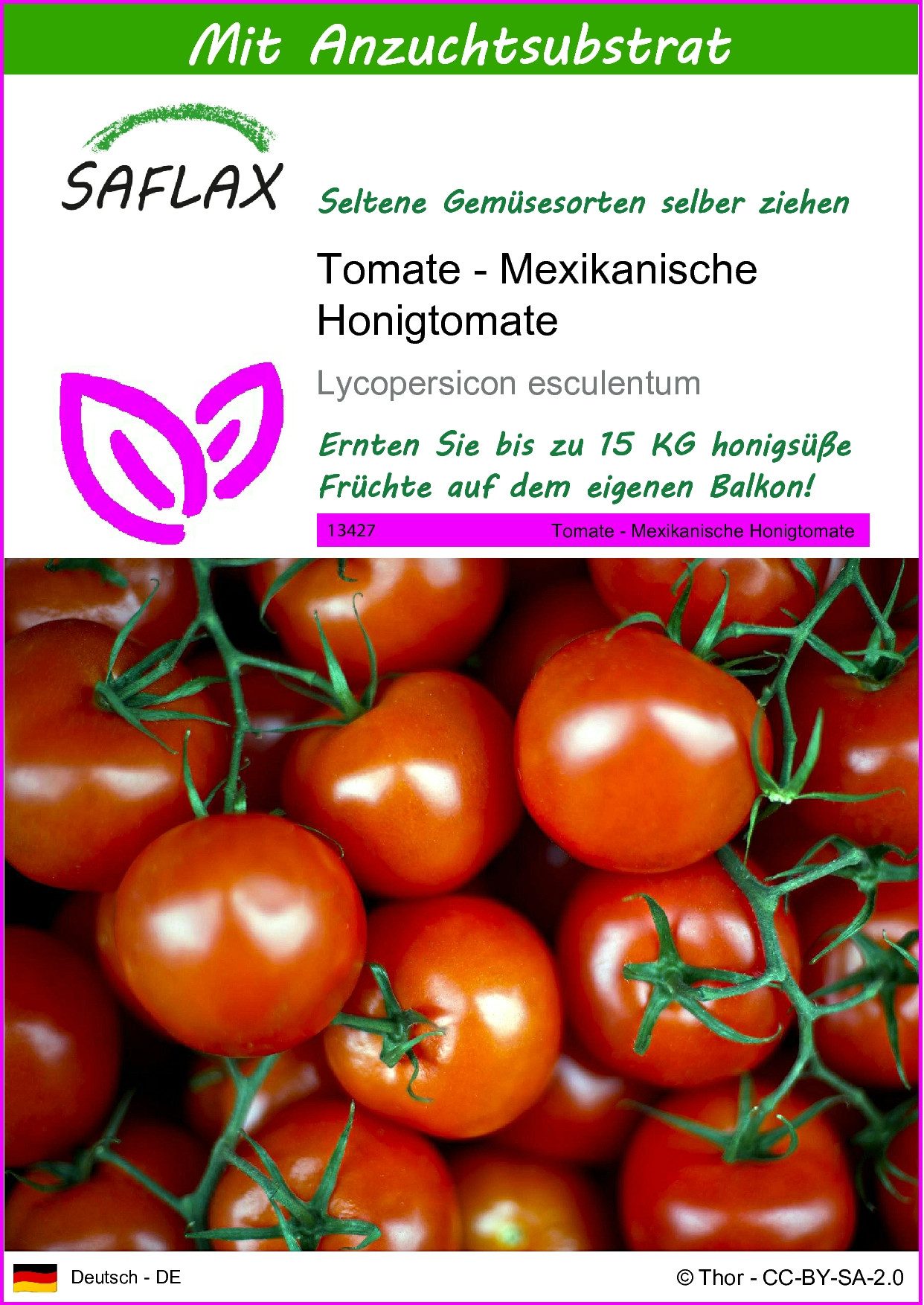 Gemüsesamen SAFLAX - Samen und Substrat - Tomate - Mexikanische Honigtomate