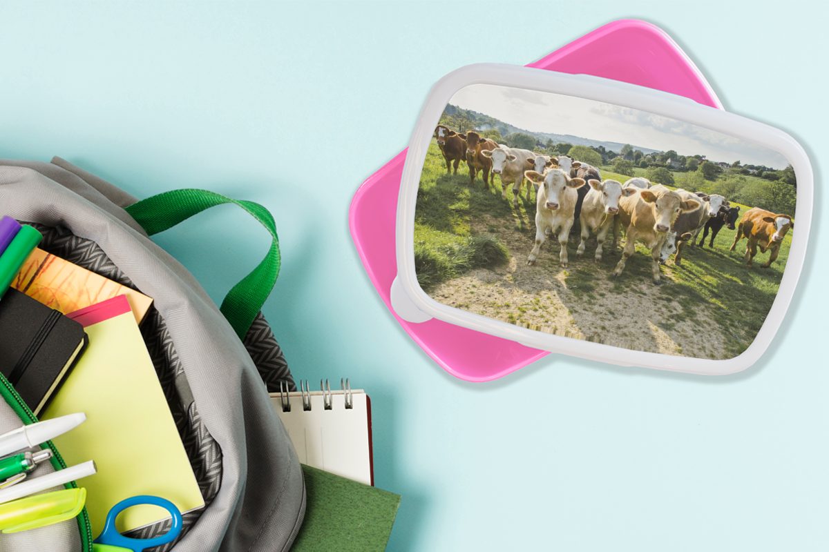 Kunststoff, Erwachsene, für Bauernhof MuchoWow Kühe rosa Snackbox, Kinder, - Brotdose Mädchen, Gras, Lunchbox - Kunststoff (2-tlg), Brotbox