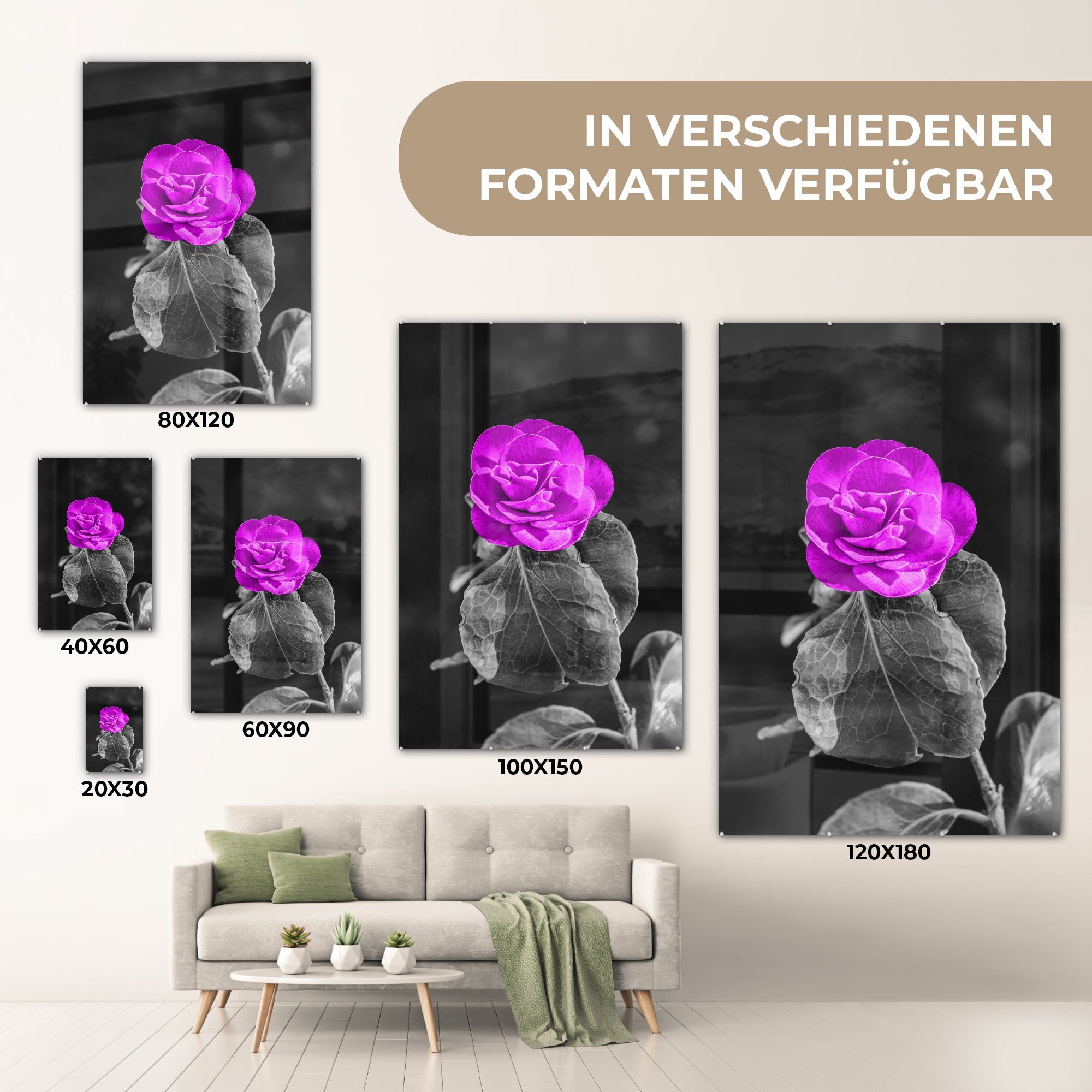 MuchoWow Acrylglasbild Blumen - Glas Wandbild - - Rose Bilder Weiß, Lila Foto bunt auf - Glas Glasbilder St), Schwarz auf (1 - - Wanddekoration 