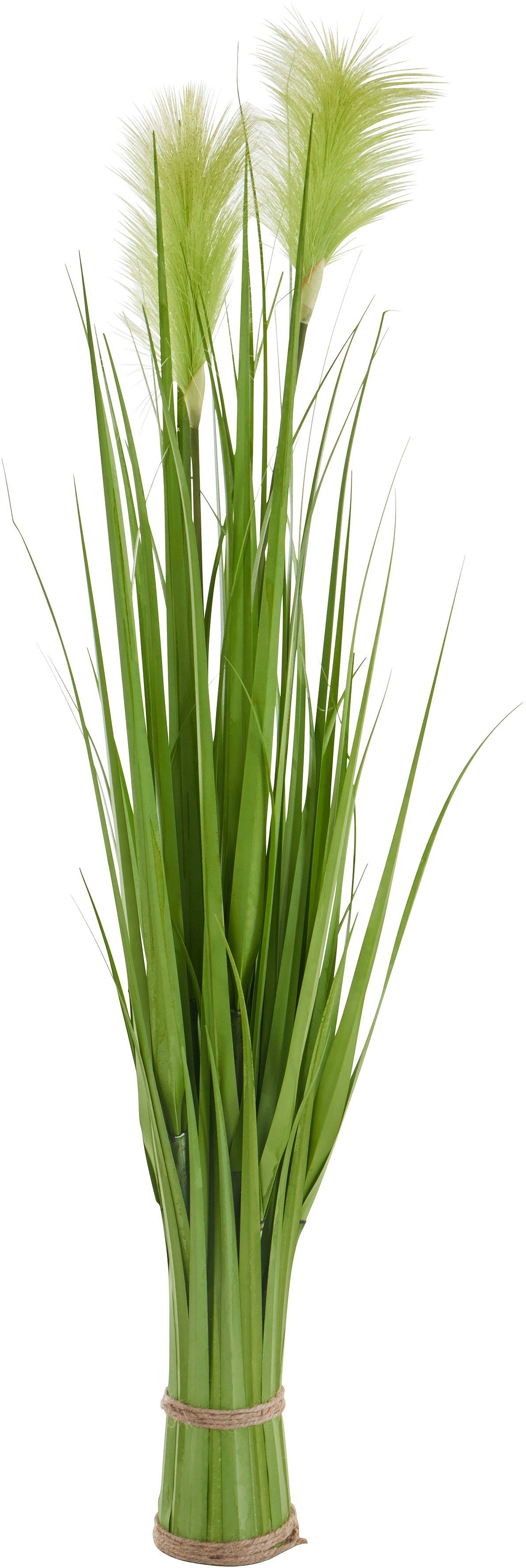 Kunstpflanze »Stretton« Pampasgras, Home affaire, Höhe 87 cm, Gras-HomeTrends