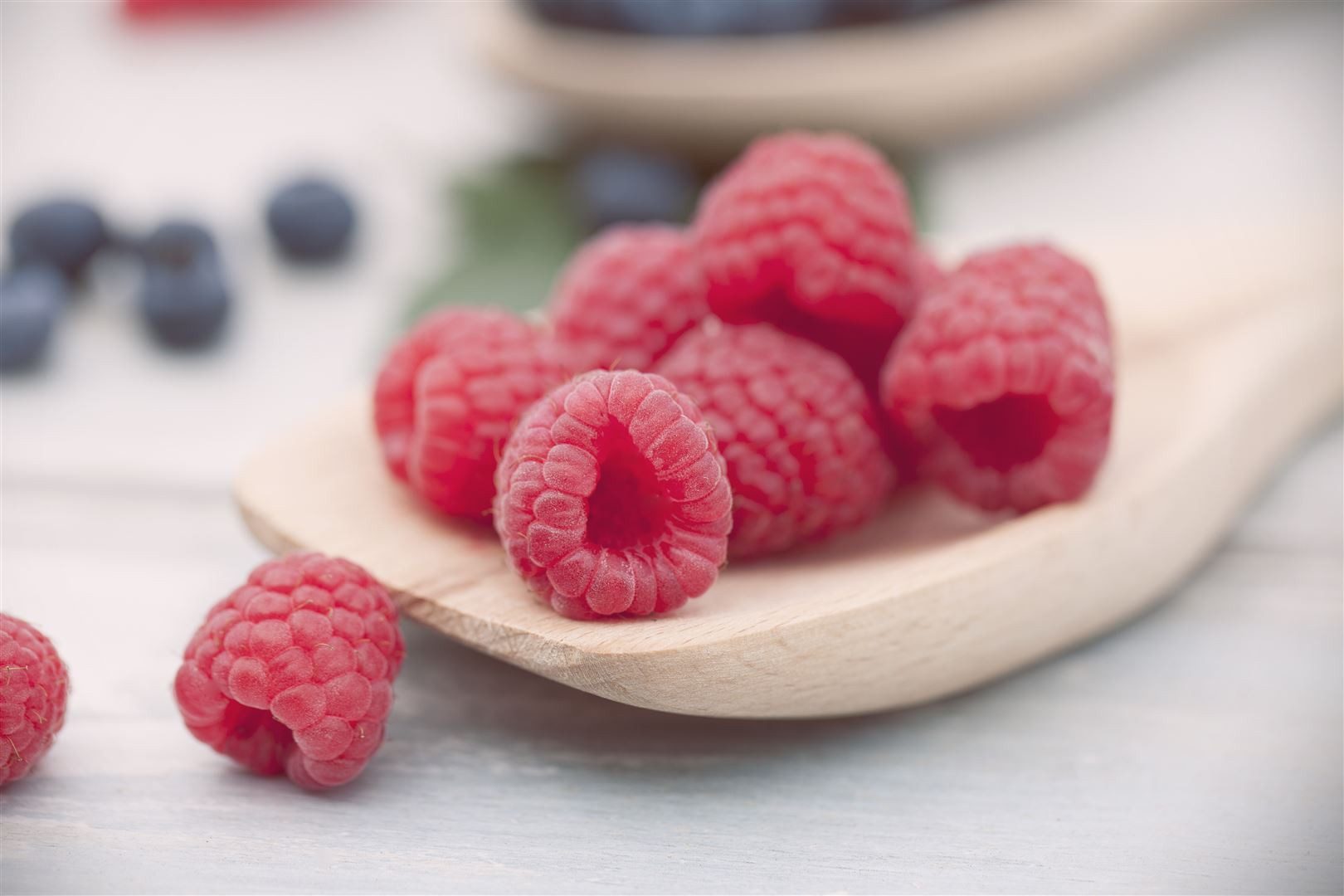 Pflanzen für Dich Obstpflanze Rubus idaeus Meeker, 1 St., Himbeere, Gartenhimbeere, großfrüchtig, ertragreich