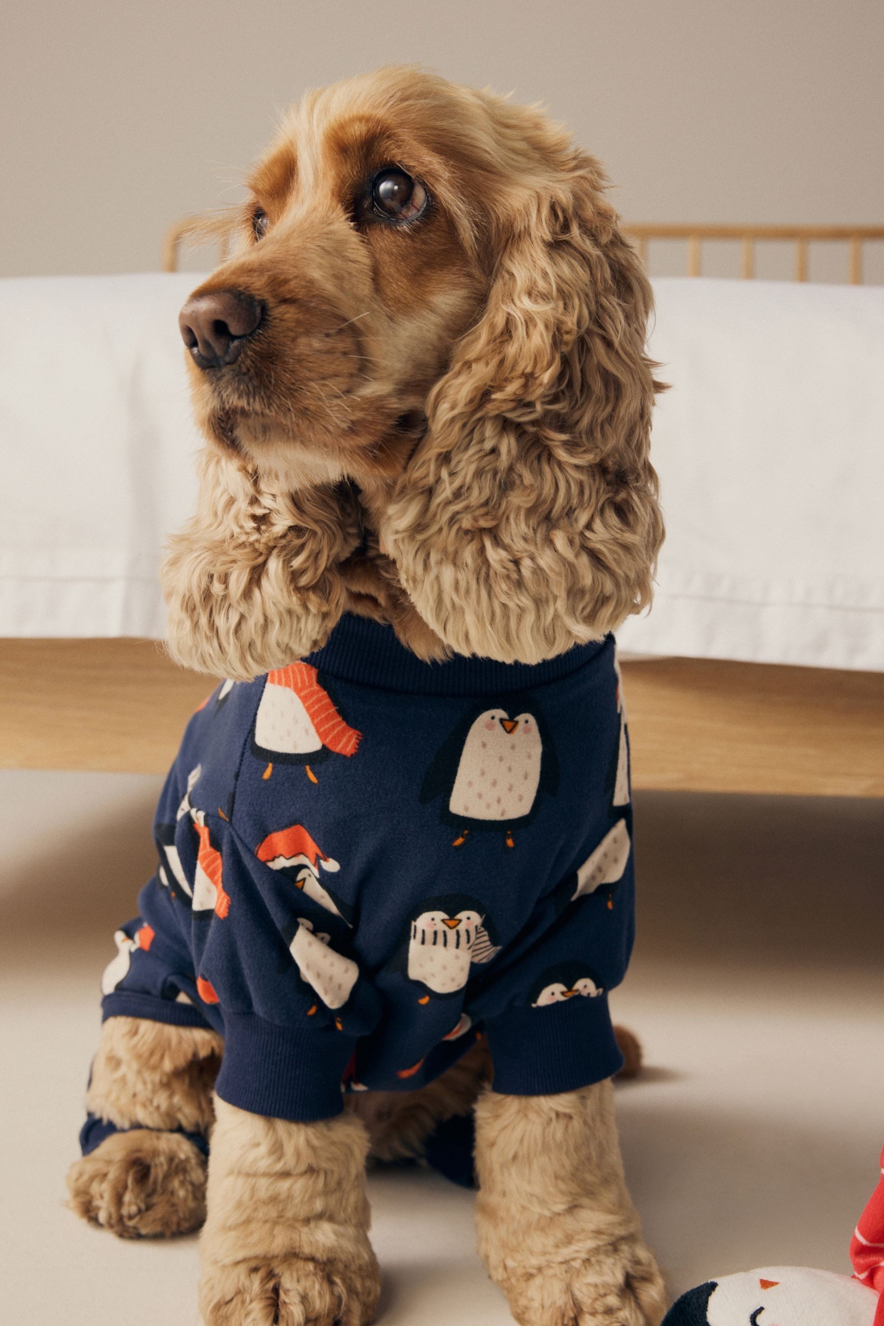 Next Hundeoverall Familien-Kollektion Hundepyjama