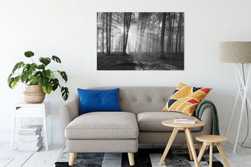 Pixxprint Leinwandbild Wald mit Sonnenstrahlen, Wald mit Sonnenstrahlen (1 St), Leinwandbild fertig bespannt, inkl. Zackenaufhänger