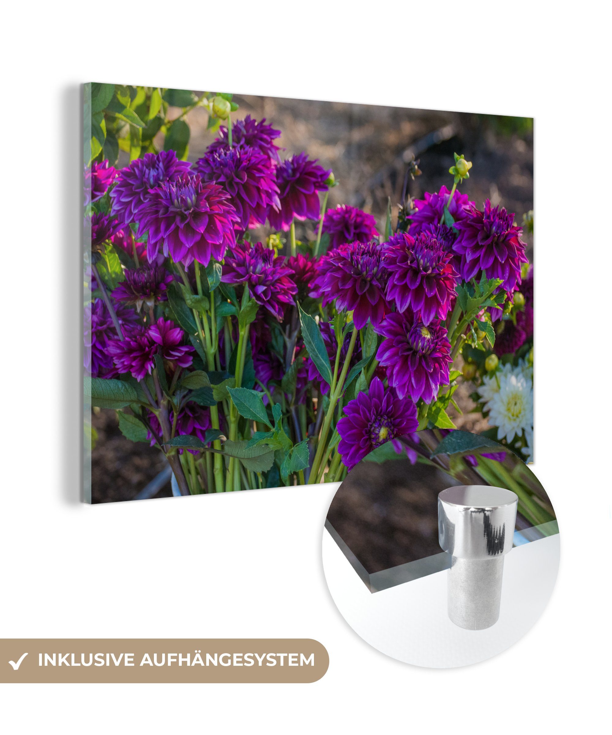 MuchoWow Acrylglasbild Wald mit Dahlien, (1 St), Acrylglasbilder Wohnzimmer & Schlafzimmer