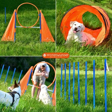 PfotenWunder Agility-Hürde XXL-Profi-Agility Set Hunde Groß für kleine & große Hunde-Training, 2x Multifunktions-Hürden & 3-Meter-Tunnel!