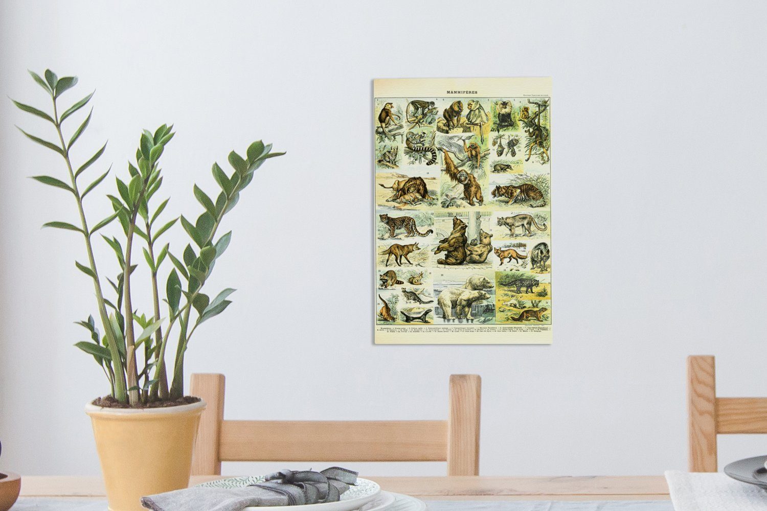 Affe 20x30 cm Zackenaufhänger, Leinwandbild (1 fertig - St), OneMillionCanvasses® - Gemälde, Tiere bespannt inkl. Bären, Leinwandbild