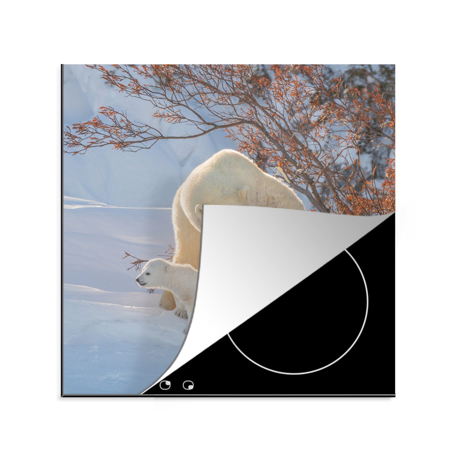 MuchoWow Herdblende-/Abdeckplatte küche (1 Schnee, 78x78 Vinyl, tlg), Ceranfeldabdeckung, Arbeitsplatte im cm, für ihren mit Eisbärin Jungen