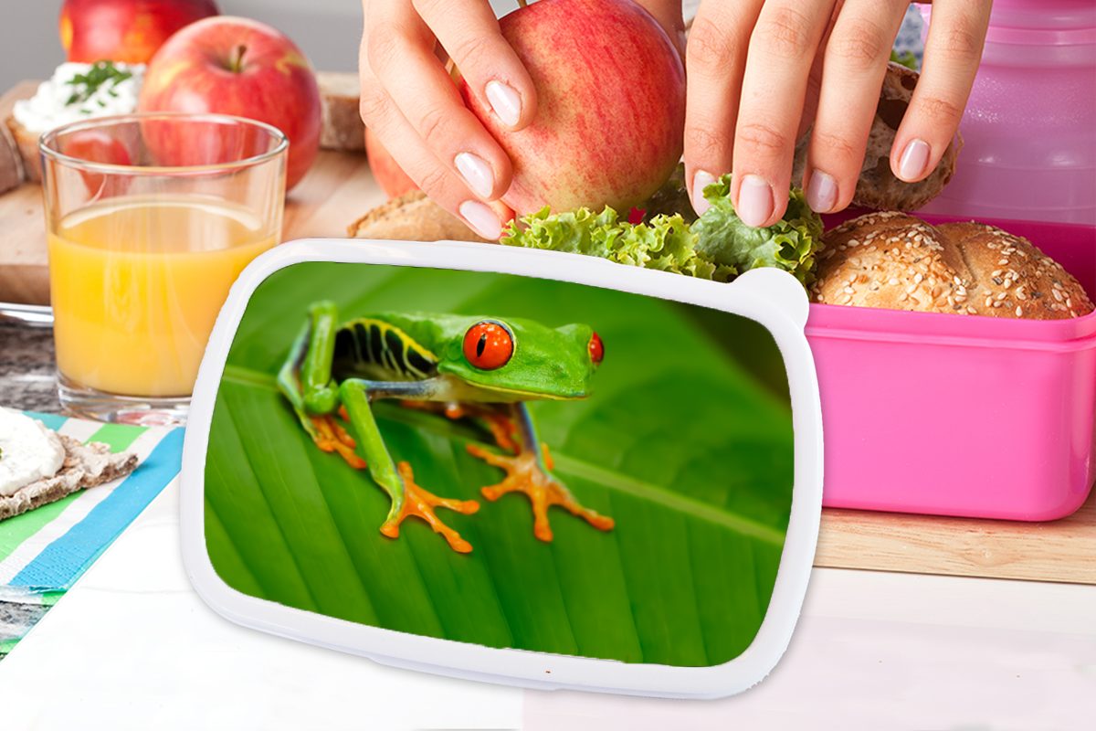 rosa (2-tlg), Kunststoff, für Erwachsene, Kunststoff - - Lunchbox Mädchen, Snackbox, Frosch Kinder, Blatt Grün, MuchoWow Brotdose Brotbox