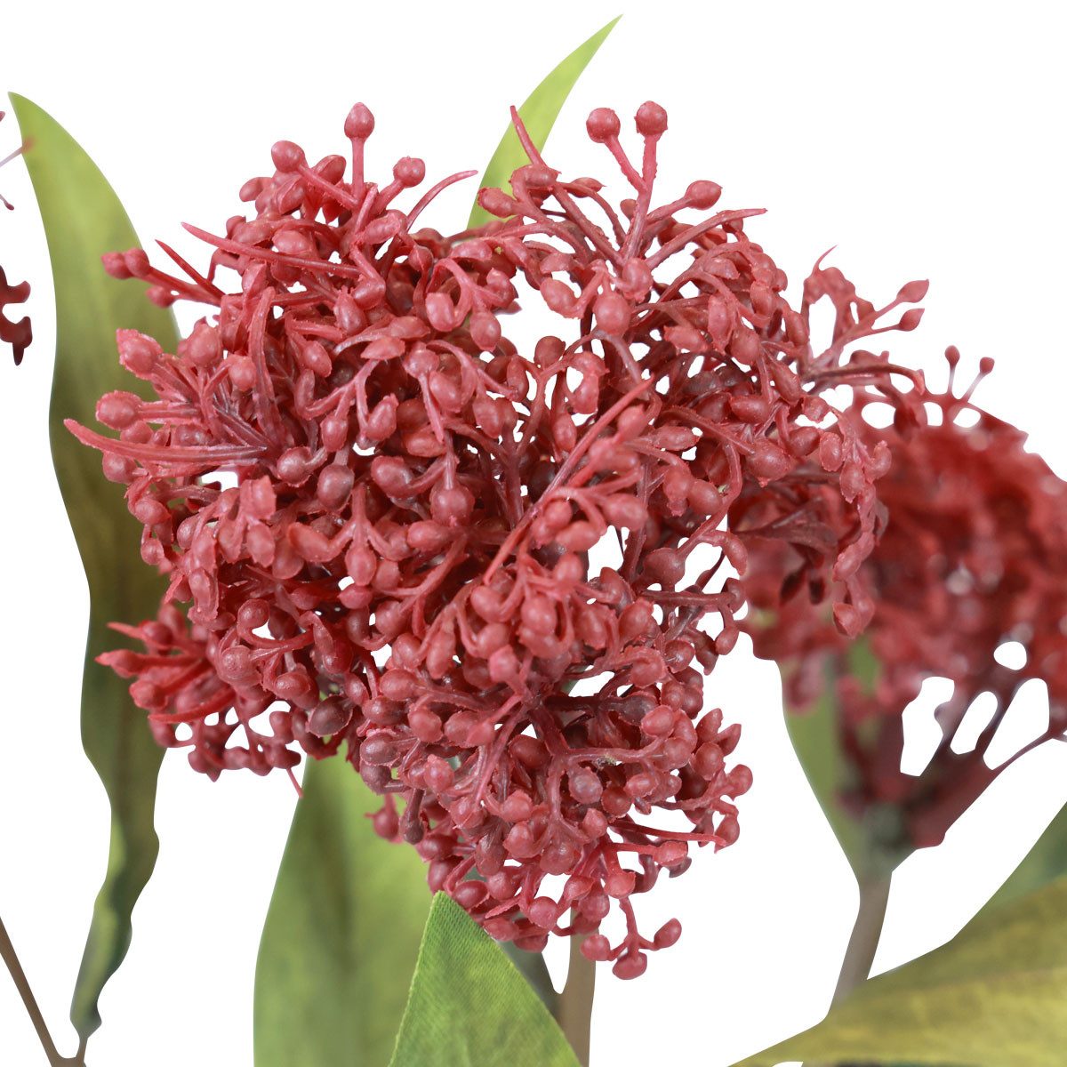 Kunstblume Skimmia Kunstpflanze mit täuschend echten Blüten und Rispen, 3 Stück, Florists Products, Höhe 0.5 cm