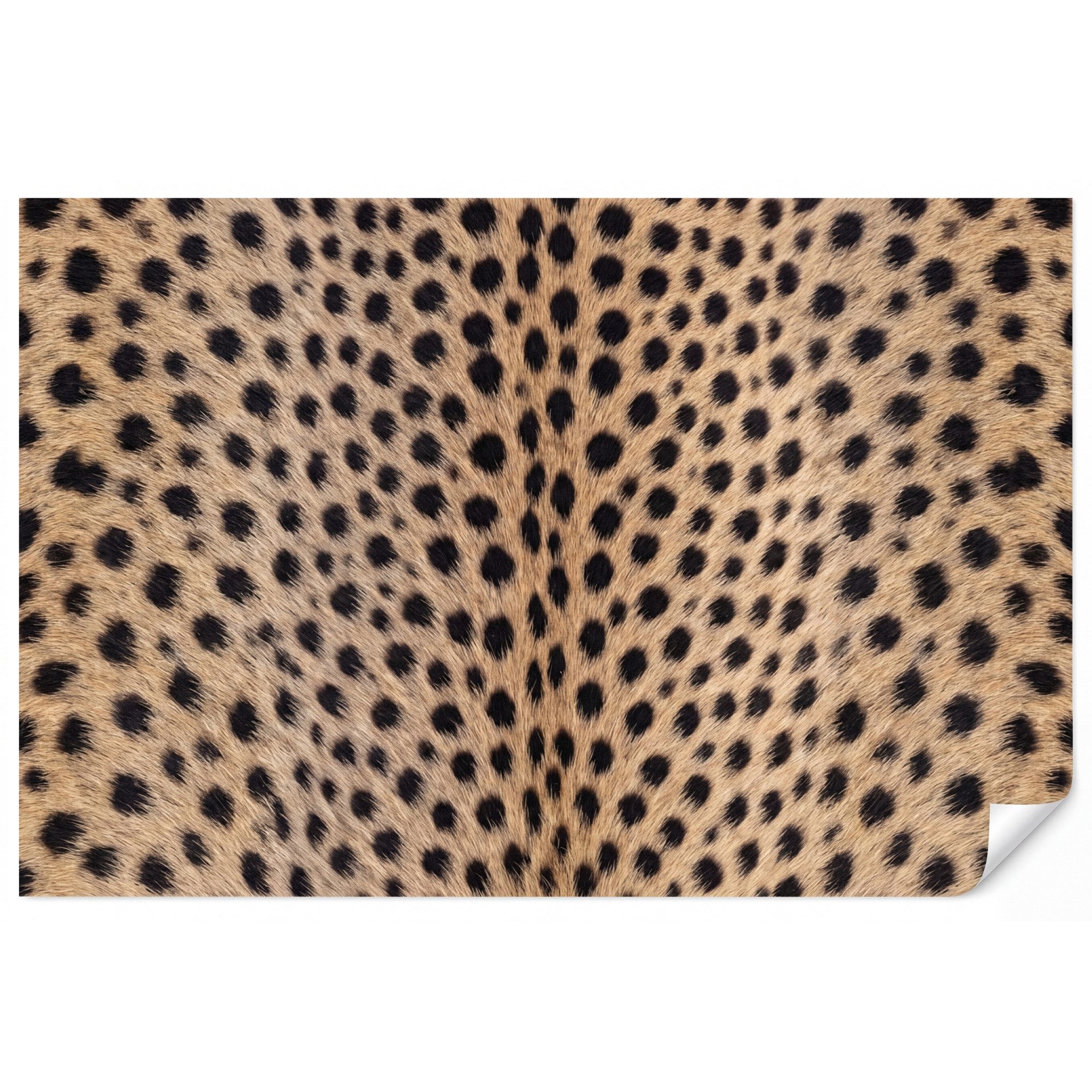OnlyWow Fototapete Mantel - Gepard - Schwarz - Weiß, Matt, bedruckt, Wohnzimmer, Modern, Wanddekoration, Vliestapete 100x70cm