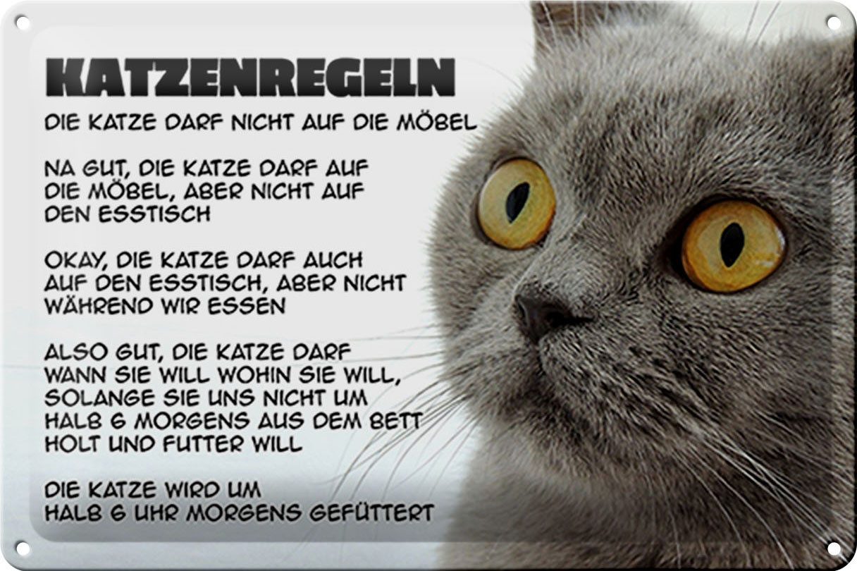 Hebold Metallschild Schild Blech 30x20 cm - Made in Germany - Katzenregeln Katze darf nich