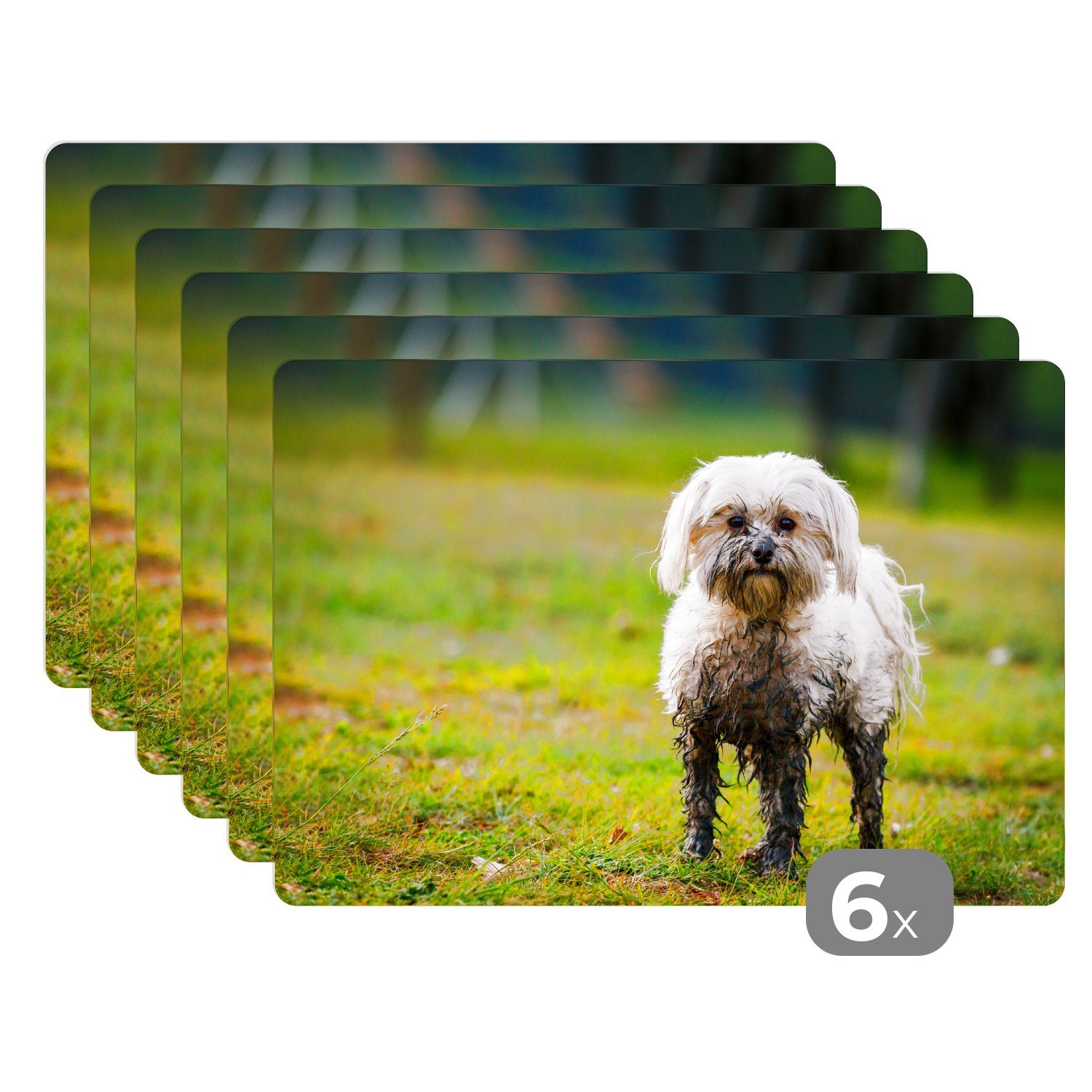 Platzset, Ein kleiner Malteserhund, MuchoWow, Schlamm mit Tischmatten, Schmutzabweisend Platzdecken, bedeckt, (6-St), Platzset, halb Platzmatte