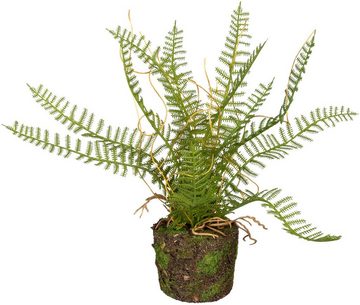 Künstliche Zimmerpflanze Set aus Farnpflanzen auf Wurzelballen Farn, Creativ green, Höhe 22 cm, 3er Set