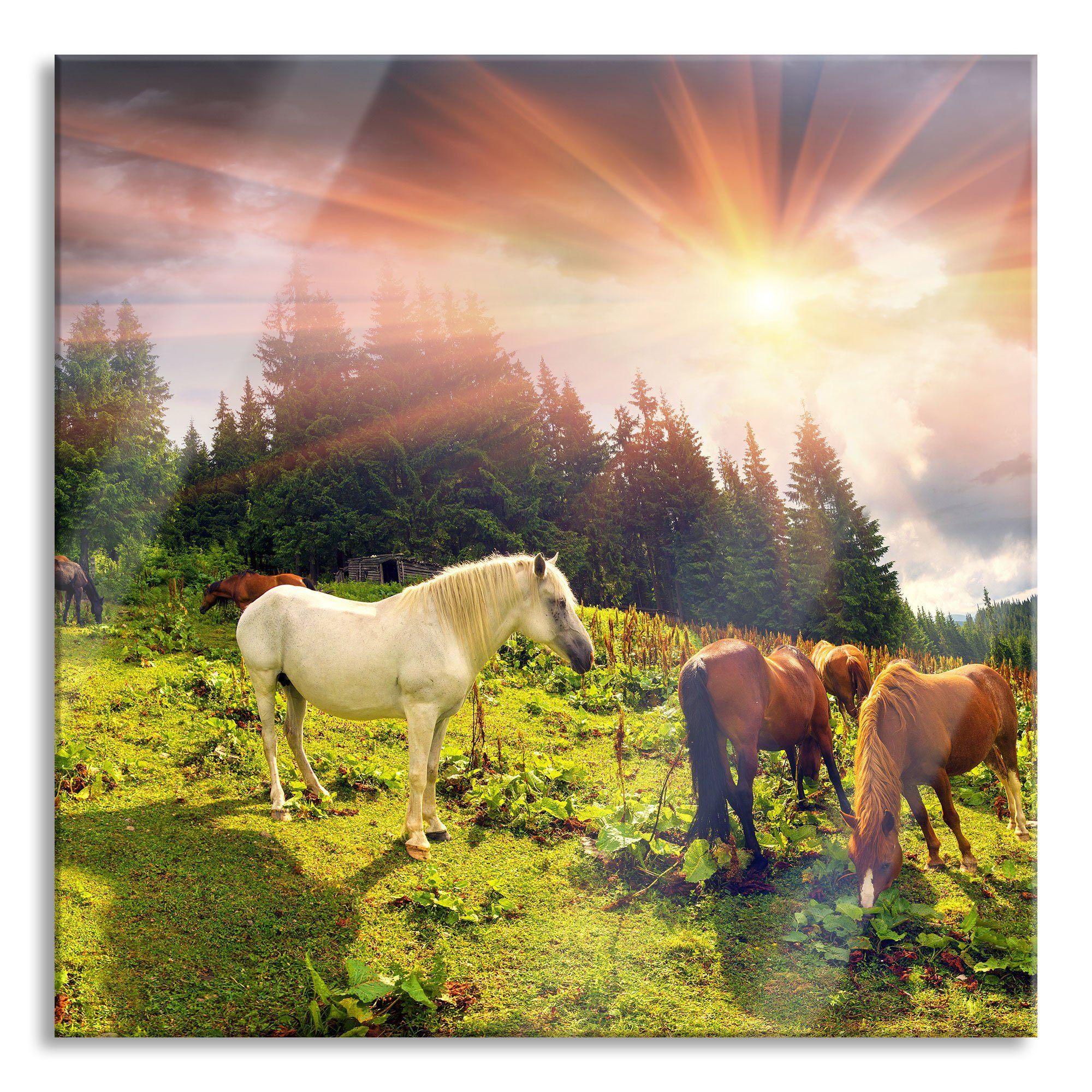 inkl. den auf und Abstandshalter Pixxprint Bergen, (1 Pferde Bergen Mustangs Glasbild den Echtglas, St), auf Pferde aus Aufhängungen Mustangs Glasbild