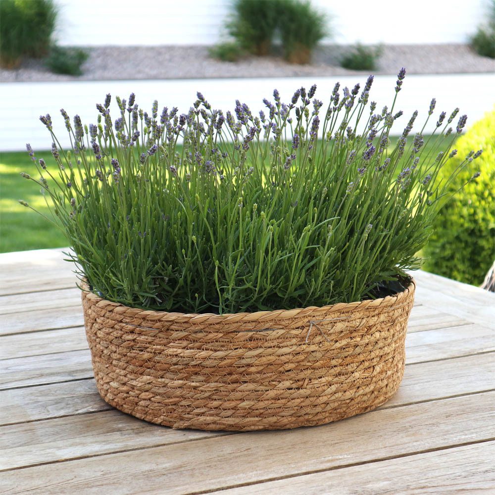 Grafelstein Blumentopf Pflanzschale SEASON braun D35cm aus Pflanzenfaser