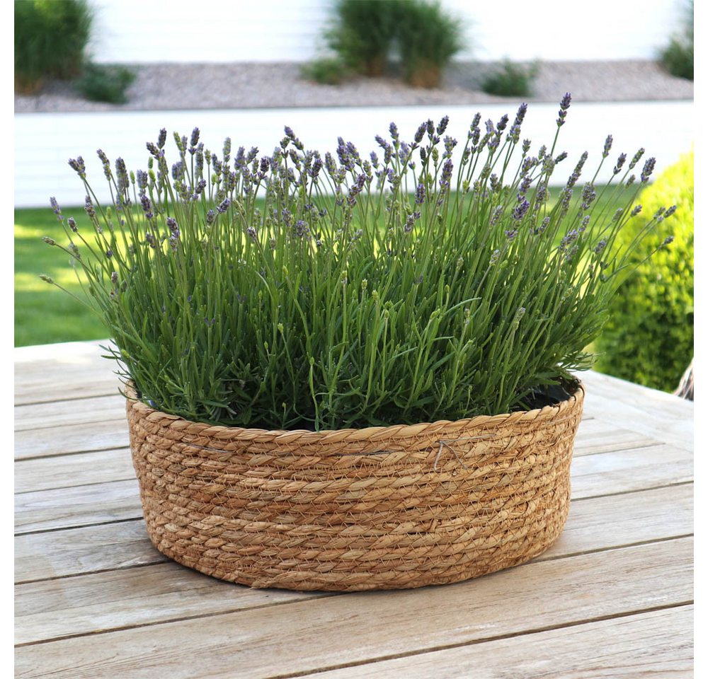 Thumbnail - Grafelstein Blumentopf Pflanzschale SEASON braun D35cm aus Pflanzenfaser