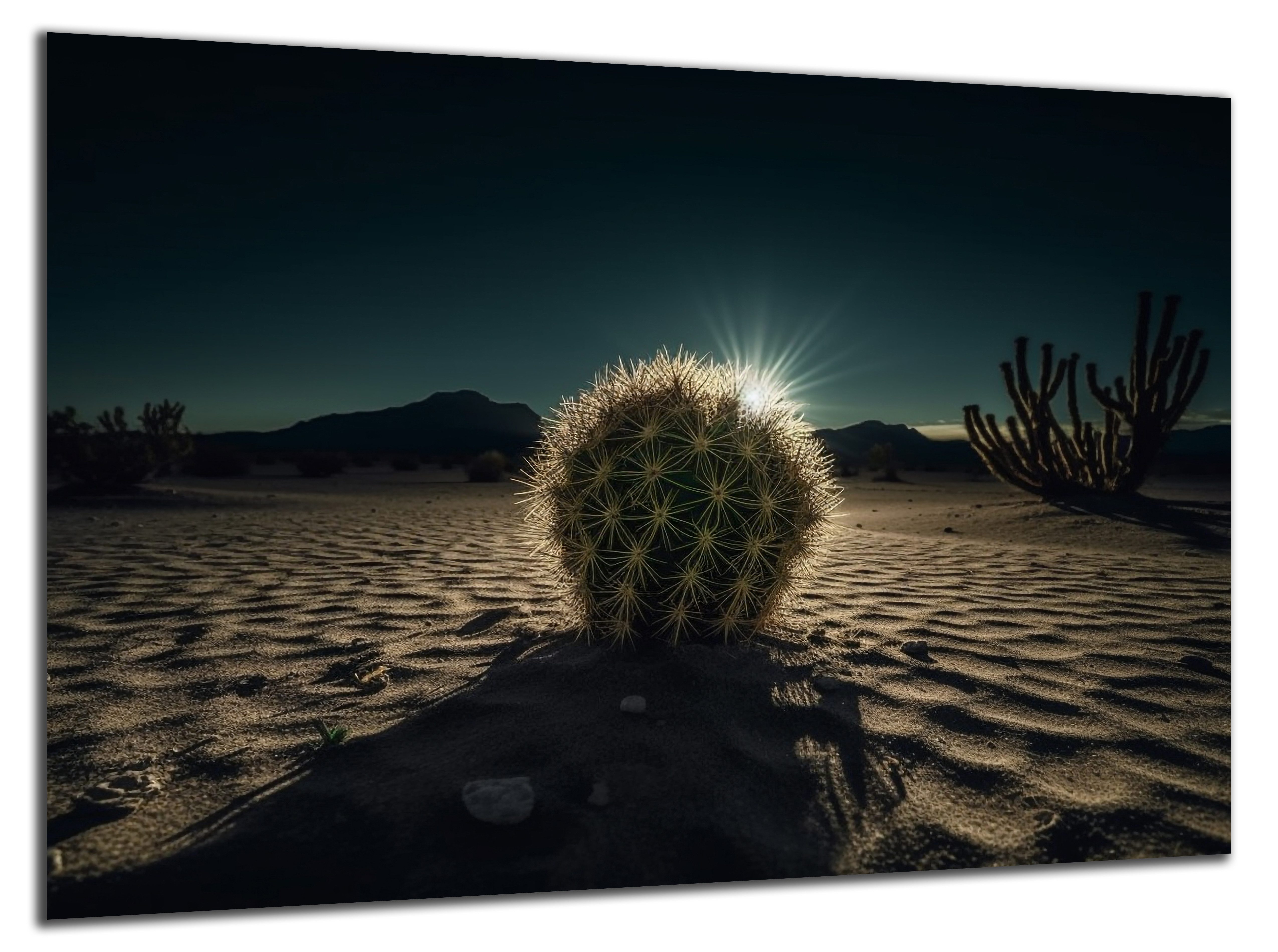 DARO Design Leinwandbild Modern Abstrakt Wandbilder XXL Wandbild Wand Deko Leinwand Изображения, (Kaktus - Bild groß Wohnzimmer Schlafzimmer Küche Esszimmer Einteilig Querformat Fotodruck Leinwände Wanddeko Abstrakte Kunst Boho), 30x20cm