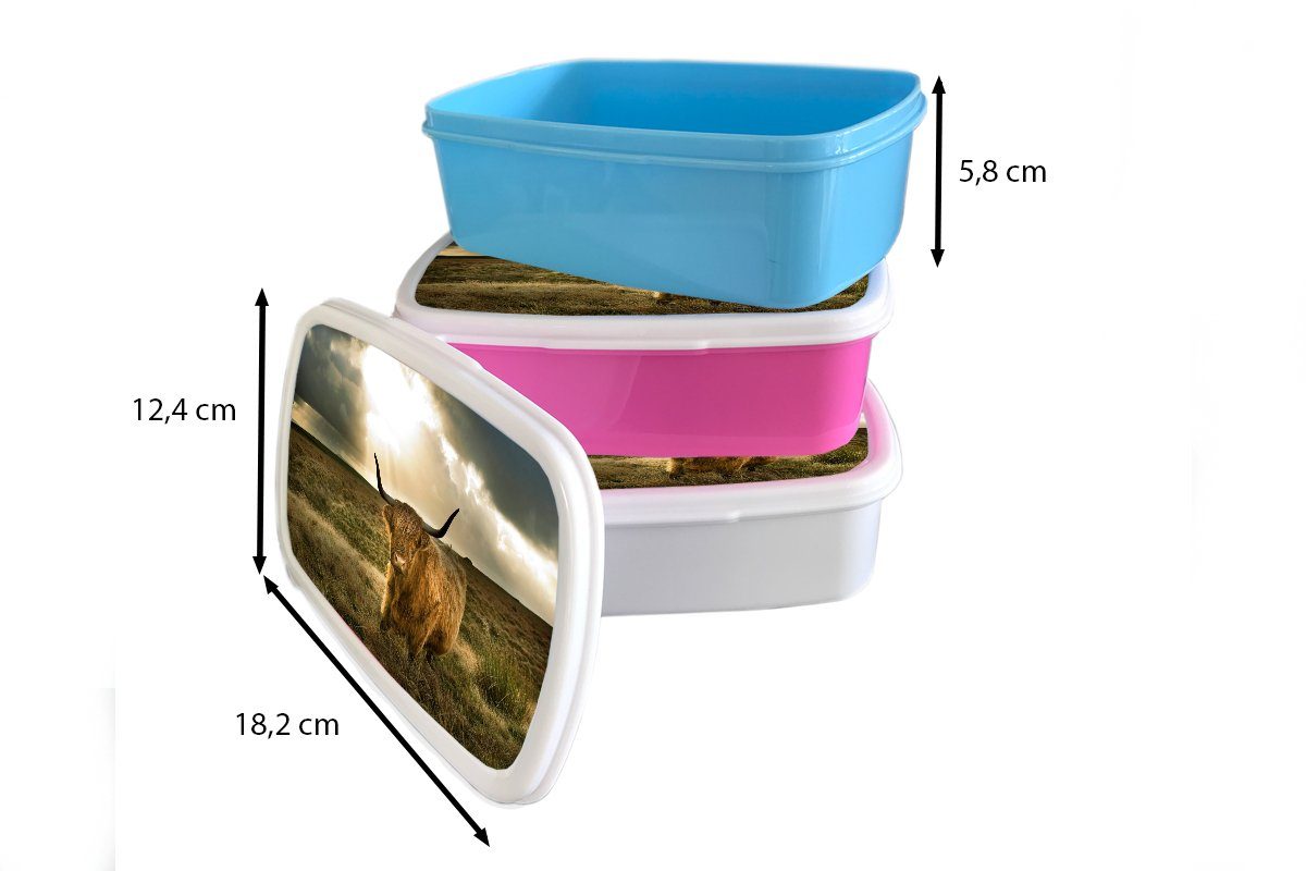 Brotbox für Lunchbox - Sonne Kunststoff, Erwachsene, rosa Kinder, Brotdose Tiere, Schottischer MuchoWow Snackbox, Mädchen, - Kunststoff Hochländer (2-tlg),