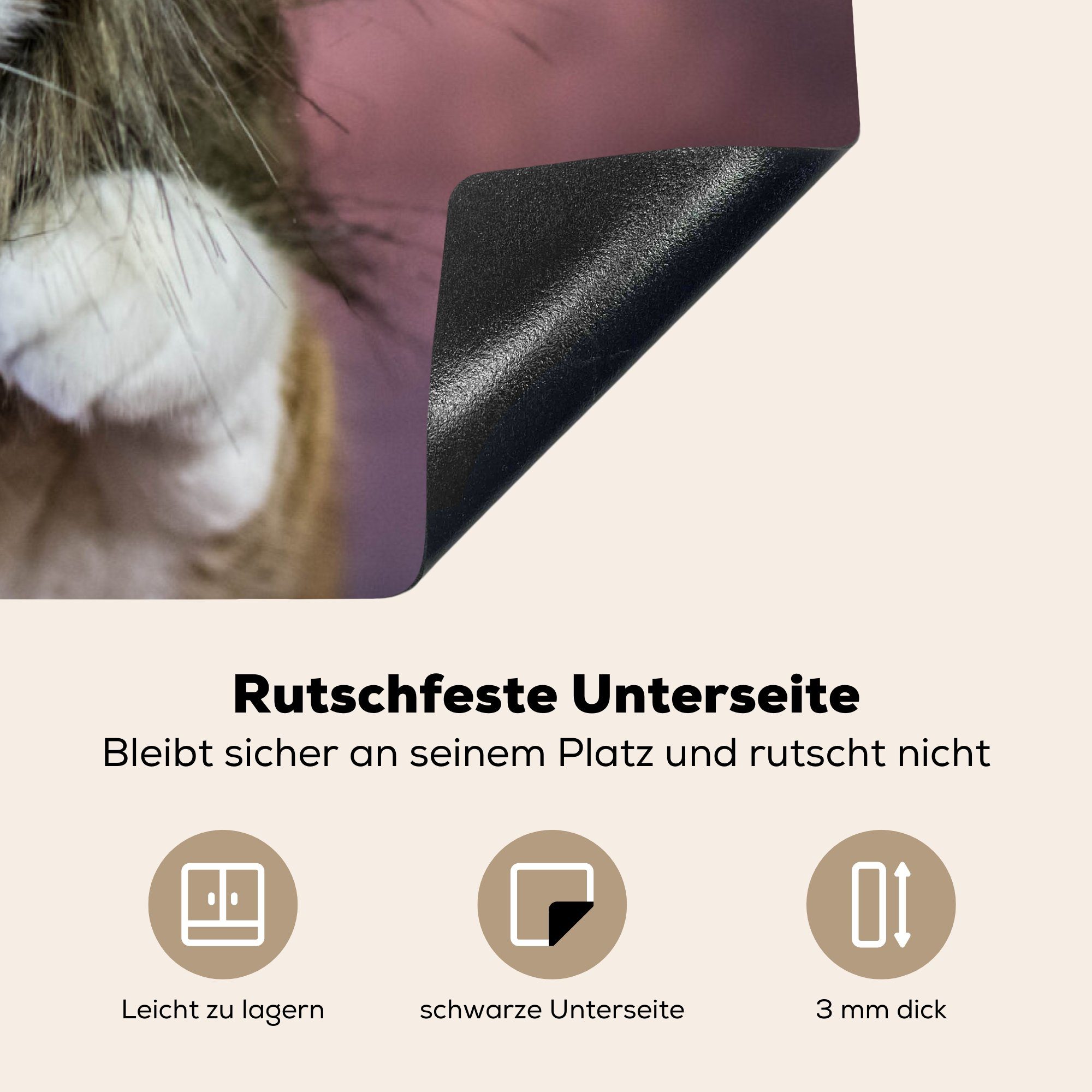 küche, - tlg), 81x52 Schutz Herdblende-/Abdeckplatte Löwe, Kostüm cm, die Vinyl, MuchoWow für - Induktionskochfeld Ceranfeldabdeckung Katze (1