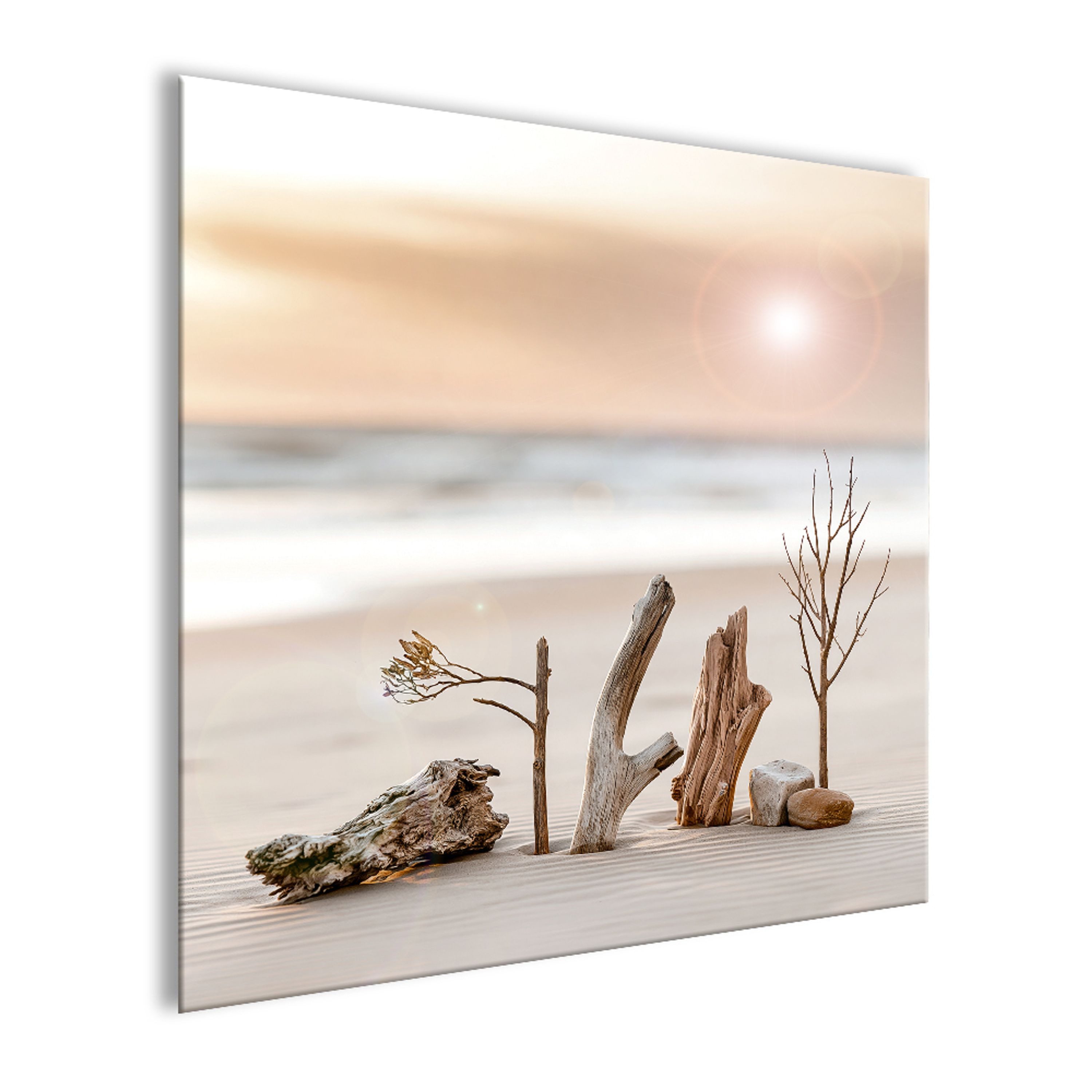 artissimo Glasbild Bild aus Glas 50x50 cm / Wandbild Quadratisch / Wanddeko modern, Strand und Meer: Treibholz am Strand in beige-weiß – Bild 2 von 5