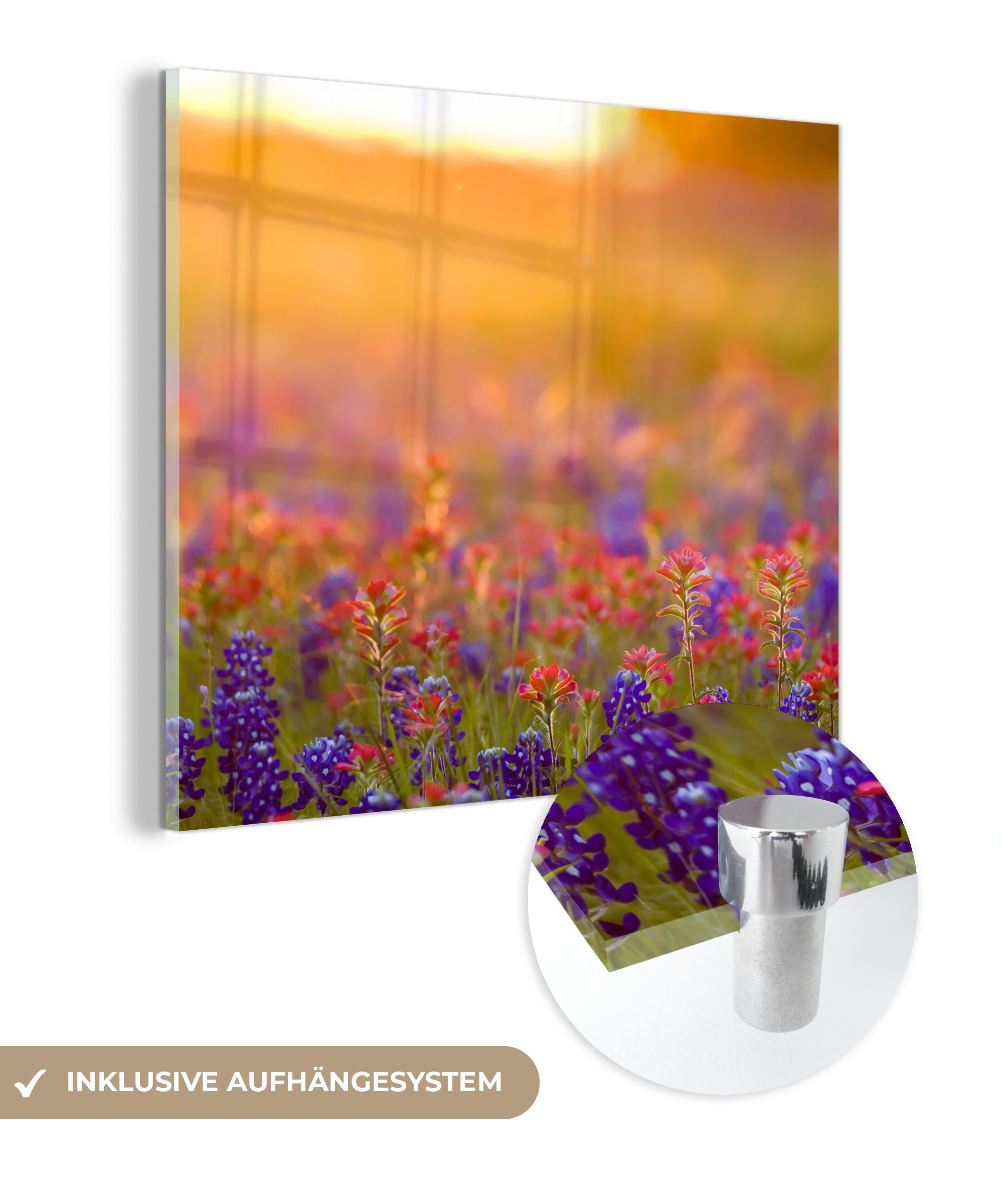 MuchoWow Acrylglasbild Blumen - Gold - Sonne, (1 St), Glasbilder - Bilder auf Glas Wandbild - Foto auf Glas - Wanddekoration